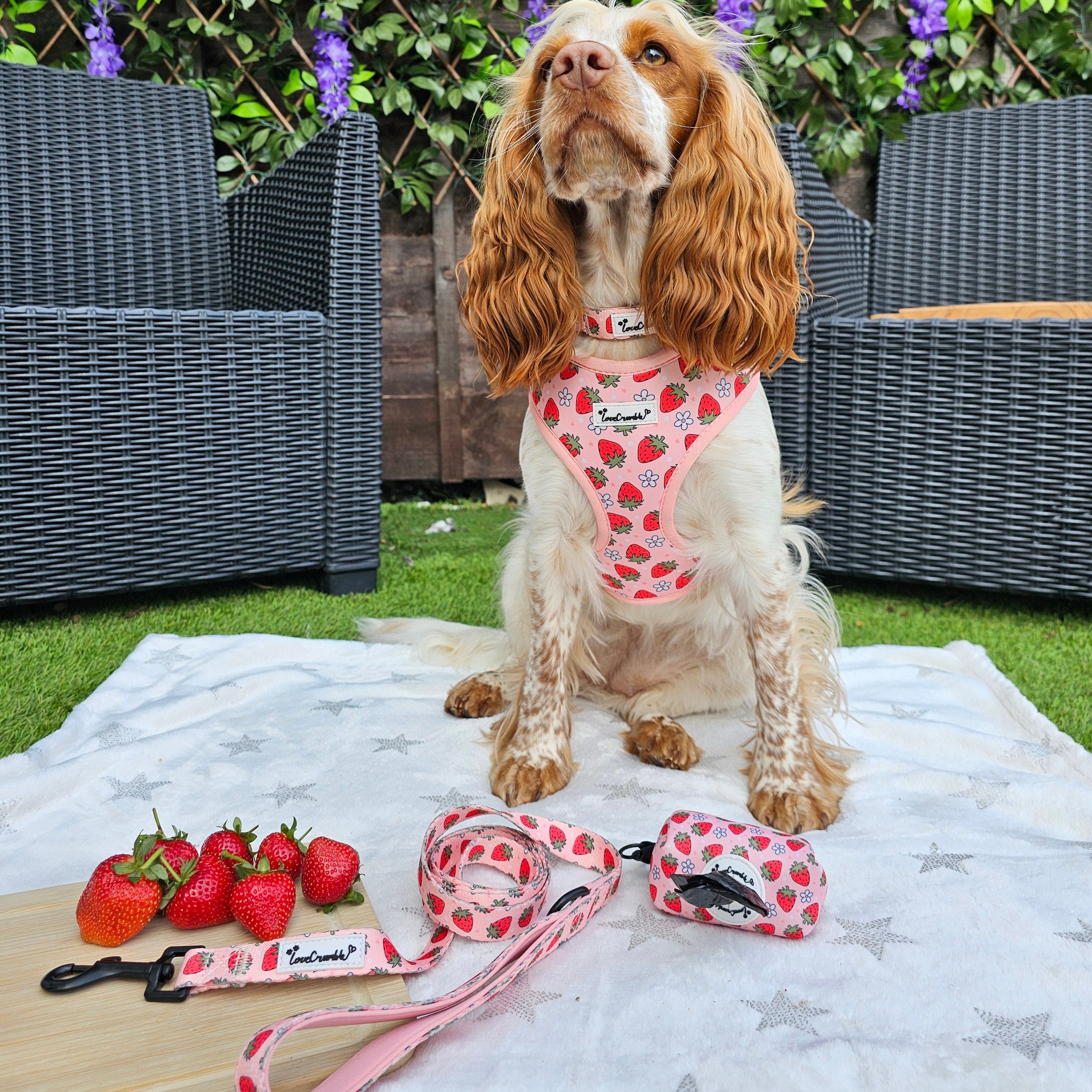 Strawberry Fields Set - Dog Harness, Lead, Collar & Poo Bag Holder