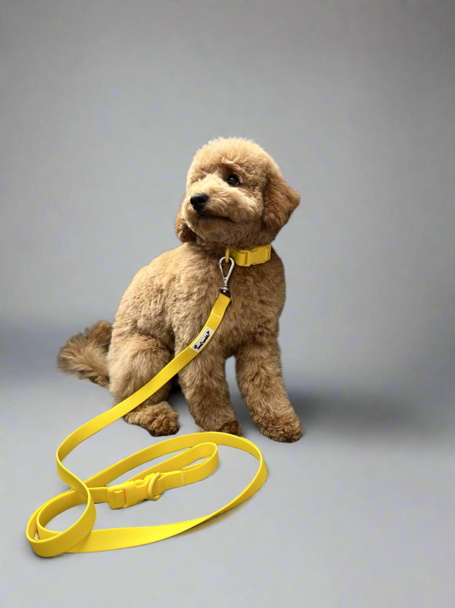 Biothane Wipe Clean Dog Lead & Collar - Macaron Yellow