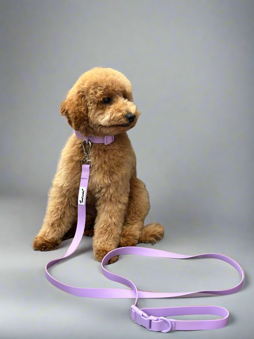 Biothane Wipe Clean Dog Lead & Collar - Lavender Purple