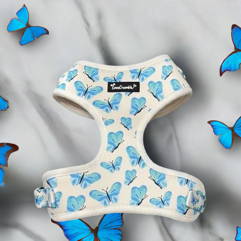 Blue Butterfly Dreams Set - Dog Harness, Lead, Collar & Poo Bag Holder