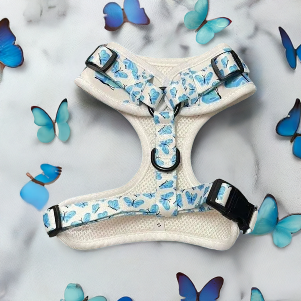 Blue Butterfly Dreams Set - Dog Harness, Lead, Collar & Poo Bag Holder