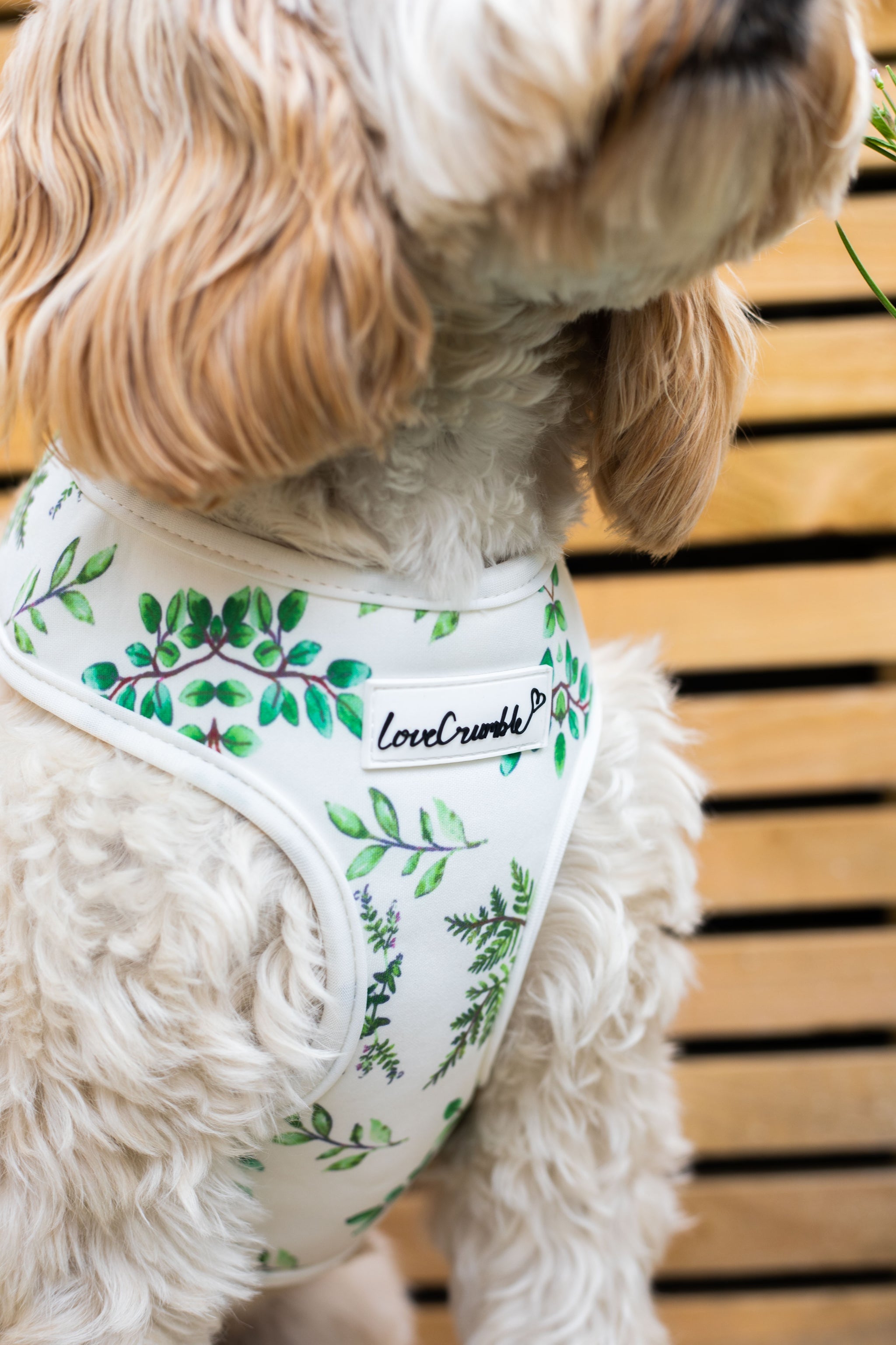 LoveCrumble Floral Sets - Dog Harness, Collar & Lead