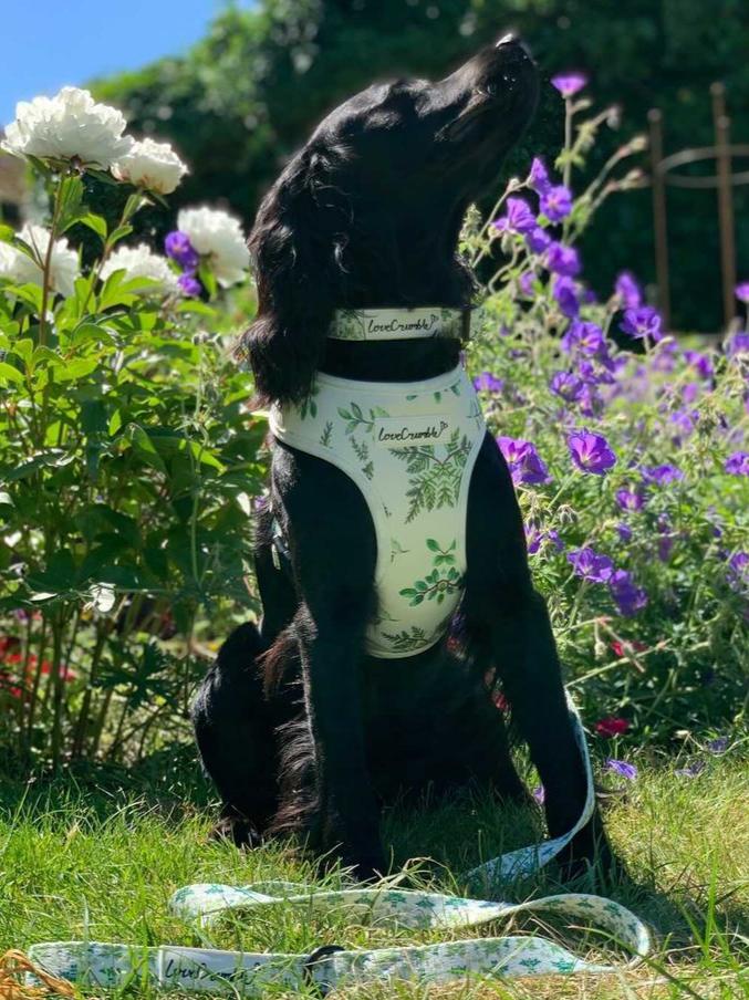 Botanical Garden Collar & Lead Set