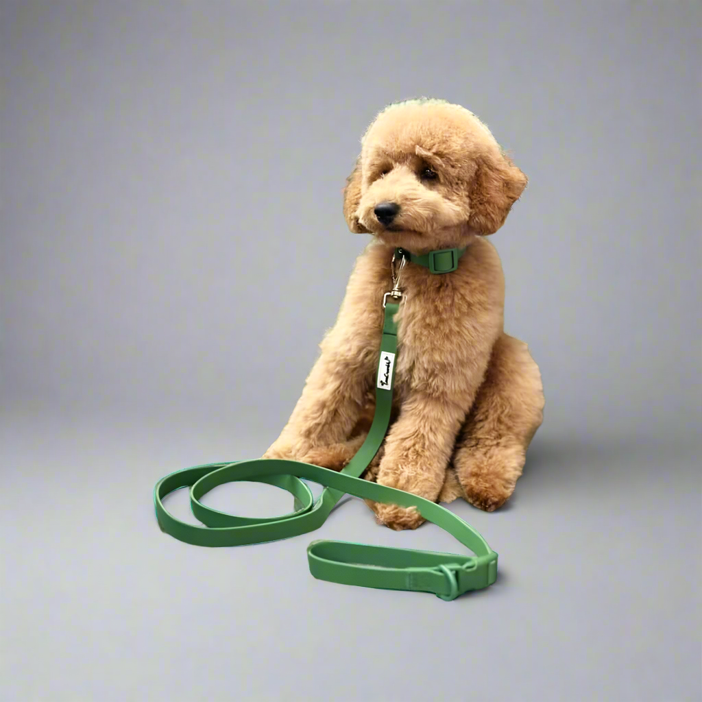 Biothane Wipe Clean Dog Lead & Collar - Earthy Green