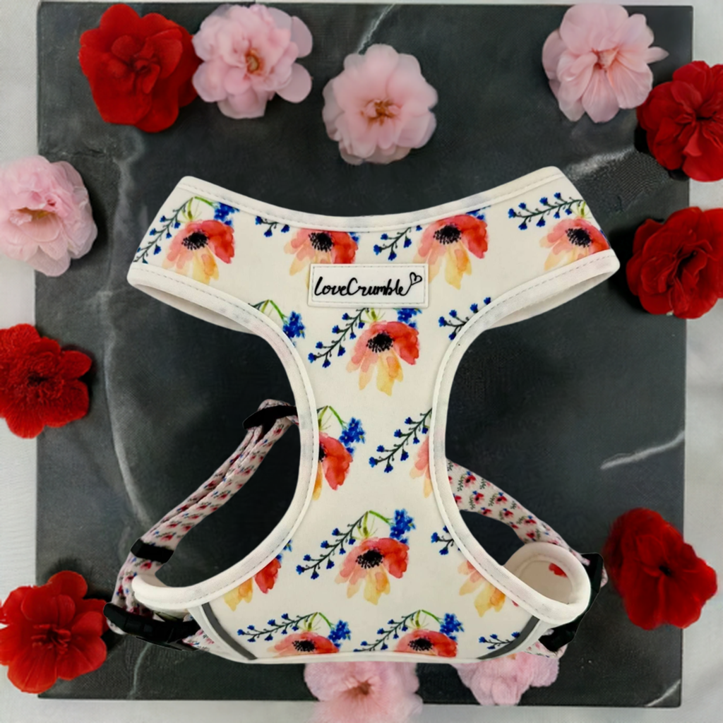Chelsea Flowers Set - Dog Harness, Collar & Lead
