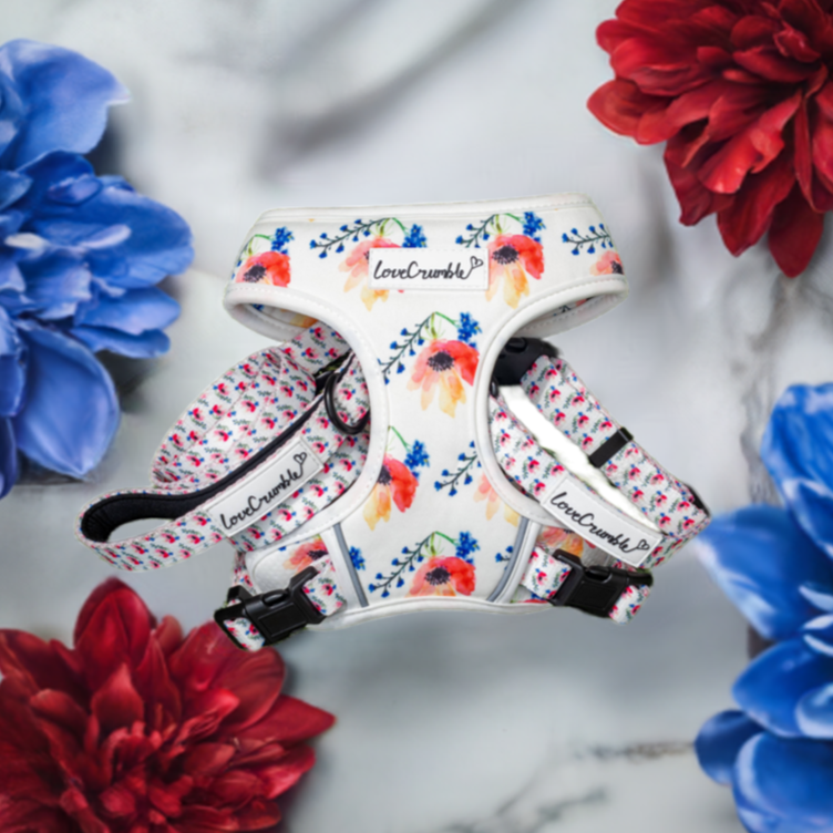 Chelsea Flowers Dog Collar & Lead Set