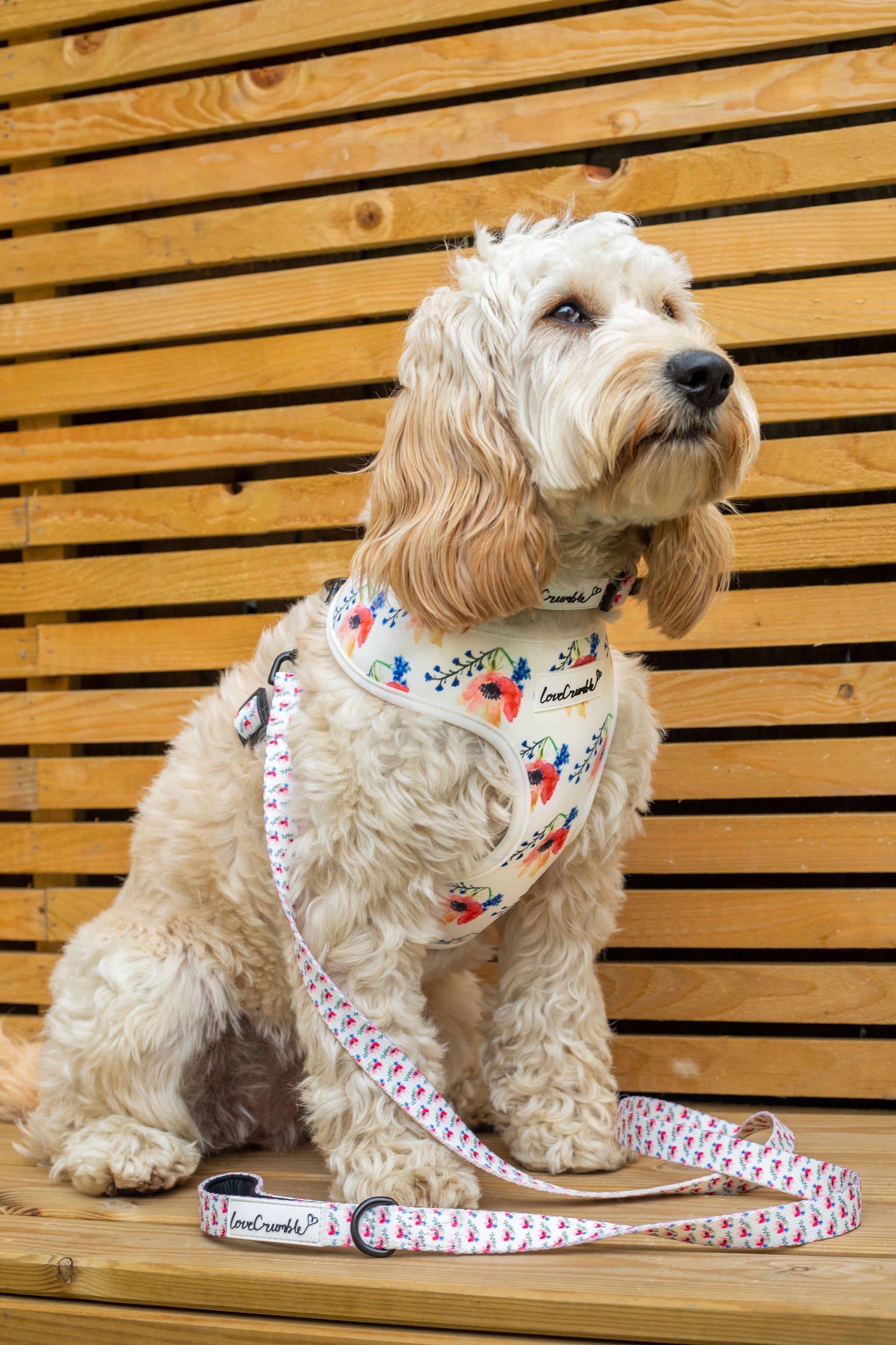 Chelsea Flowers Dog Collar & Lead Set
