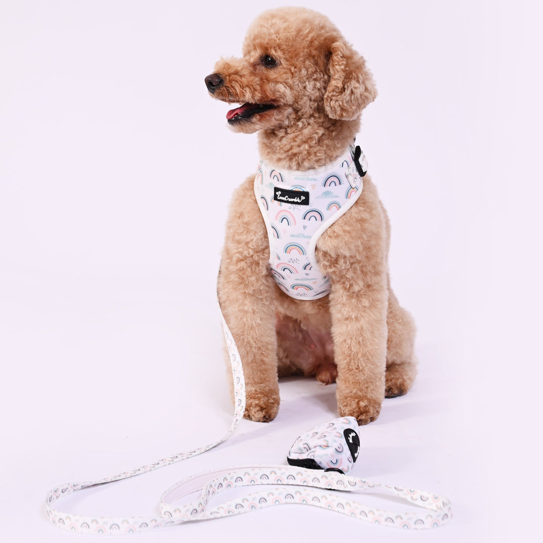 Hearts & Rainbows Charm Set - Dog Harness, Lead, Collar & Poo Bag Holder