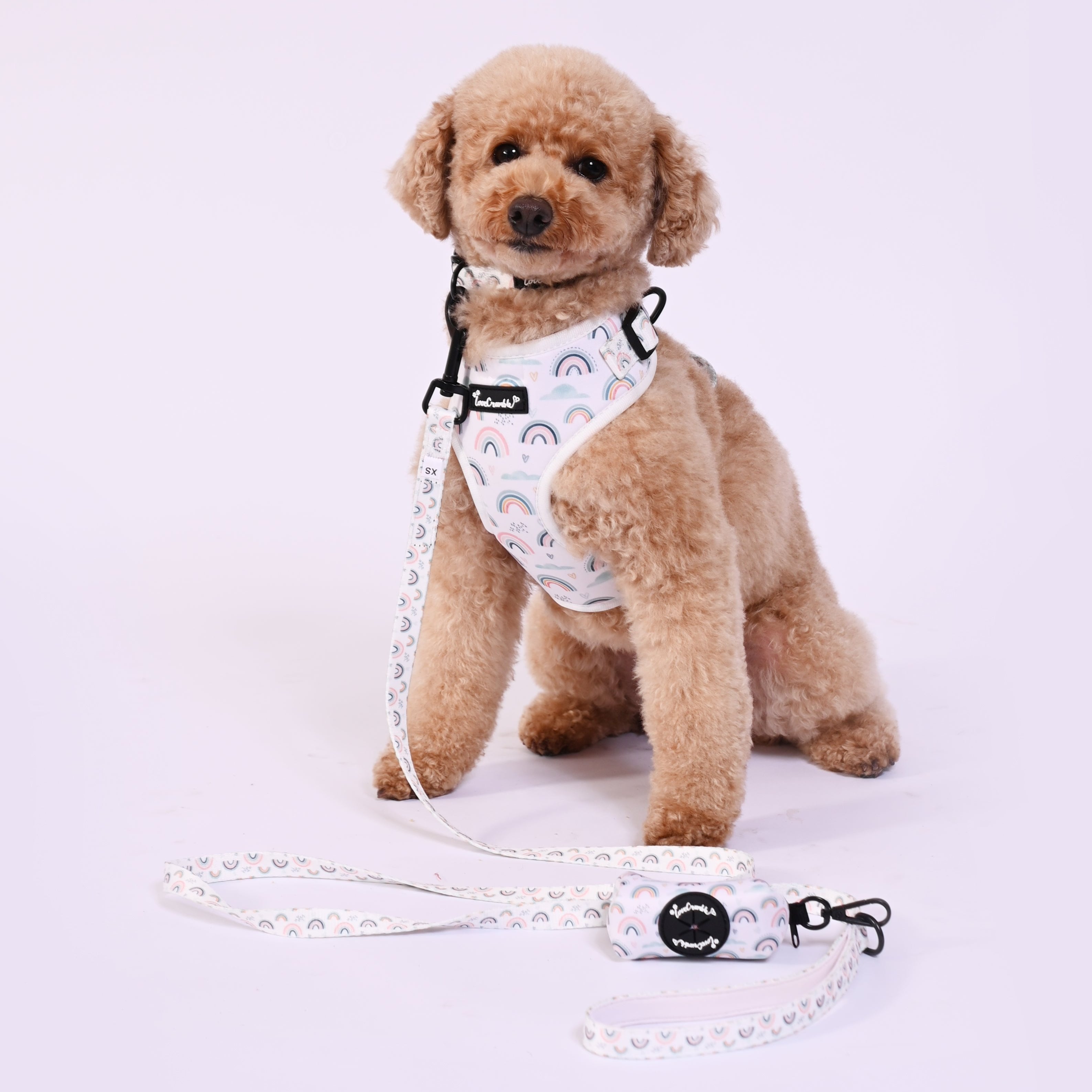 Hearts & Rainbows Charm Dog Harness