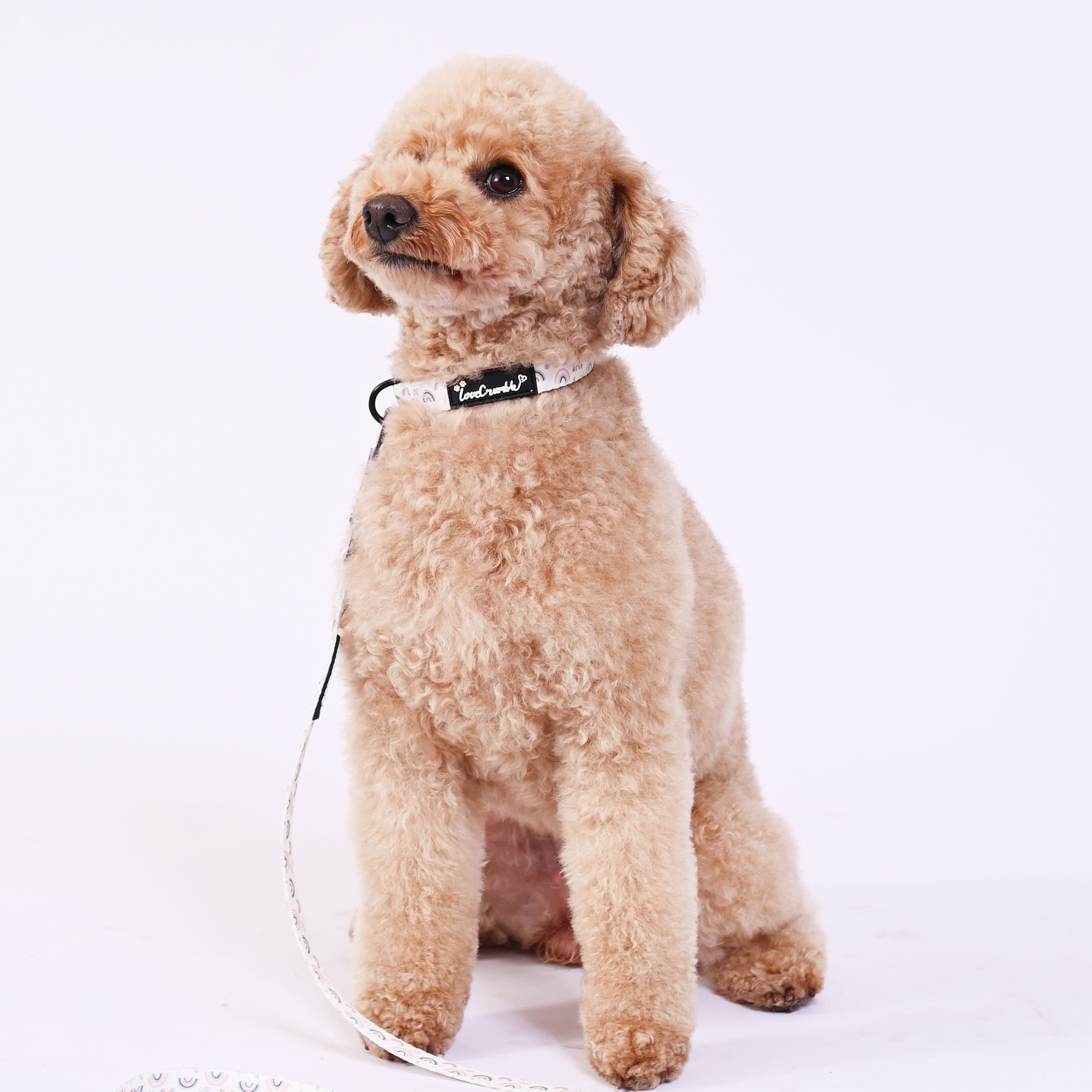 Hearts & Rainbows Charm Set - Dog Harness, Lead, Collar & Poo Bag Holder