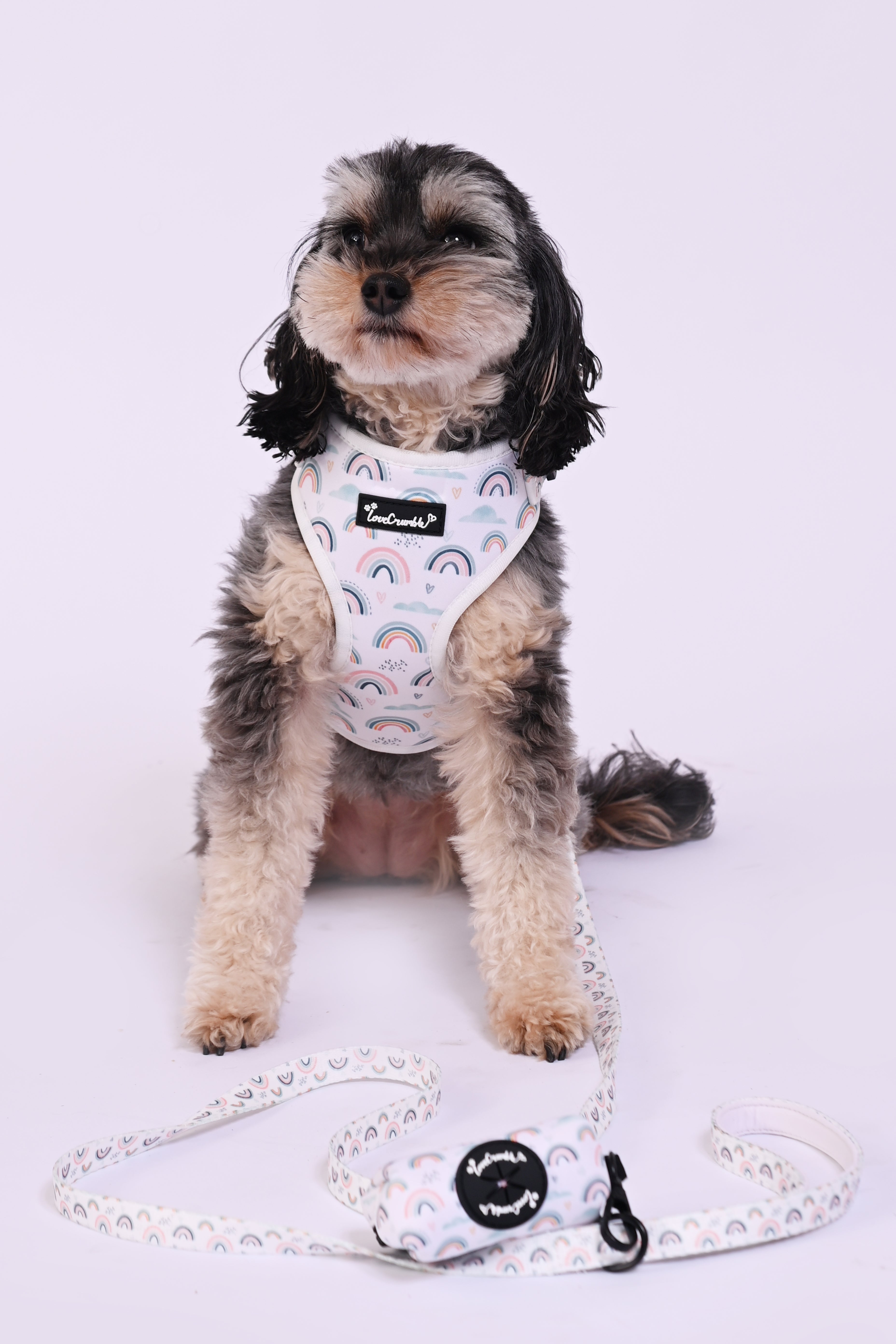 Hearts & Rainbows Charm Set - Dog Harness, Lead, Collar & Poo Bag Holder