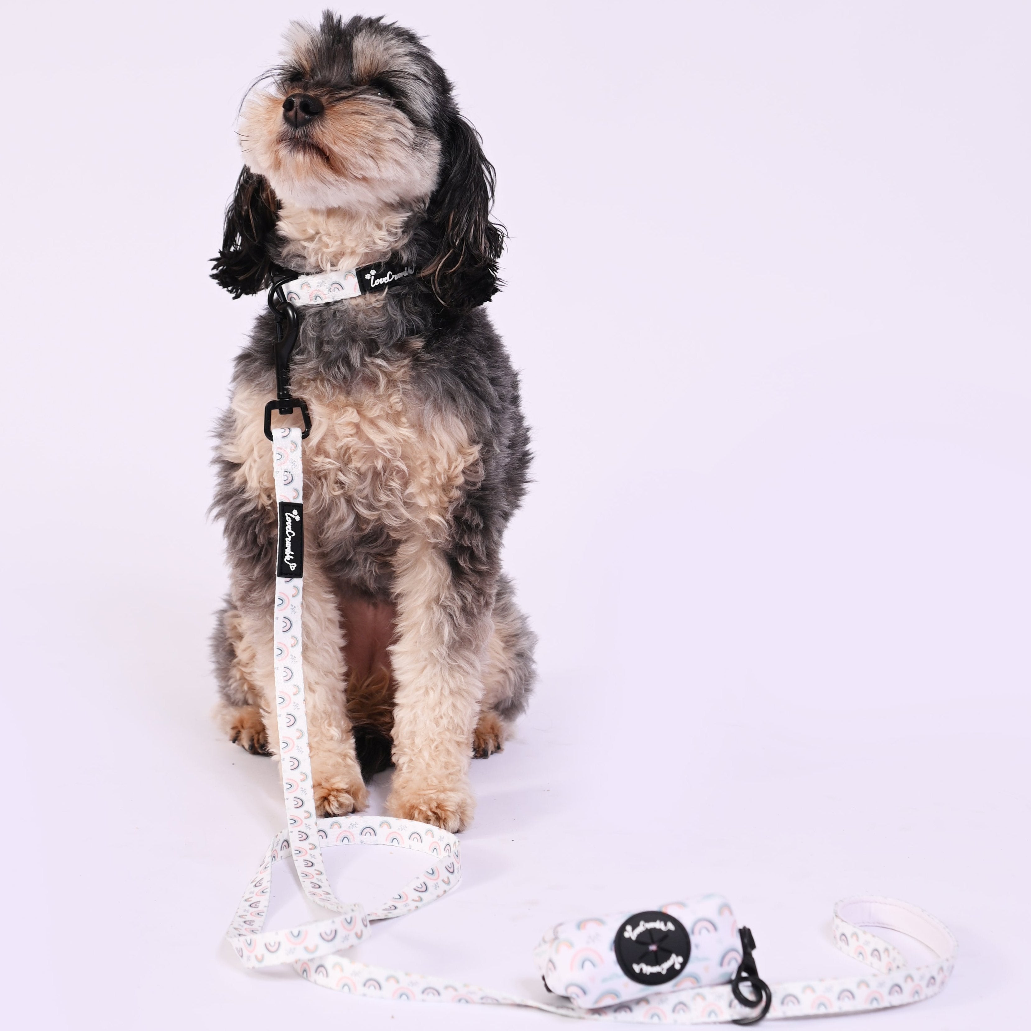 Hearts & Rainbows Charm Set - Dog Harness, Lead, Collar & Poo Bag Holder