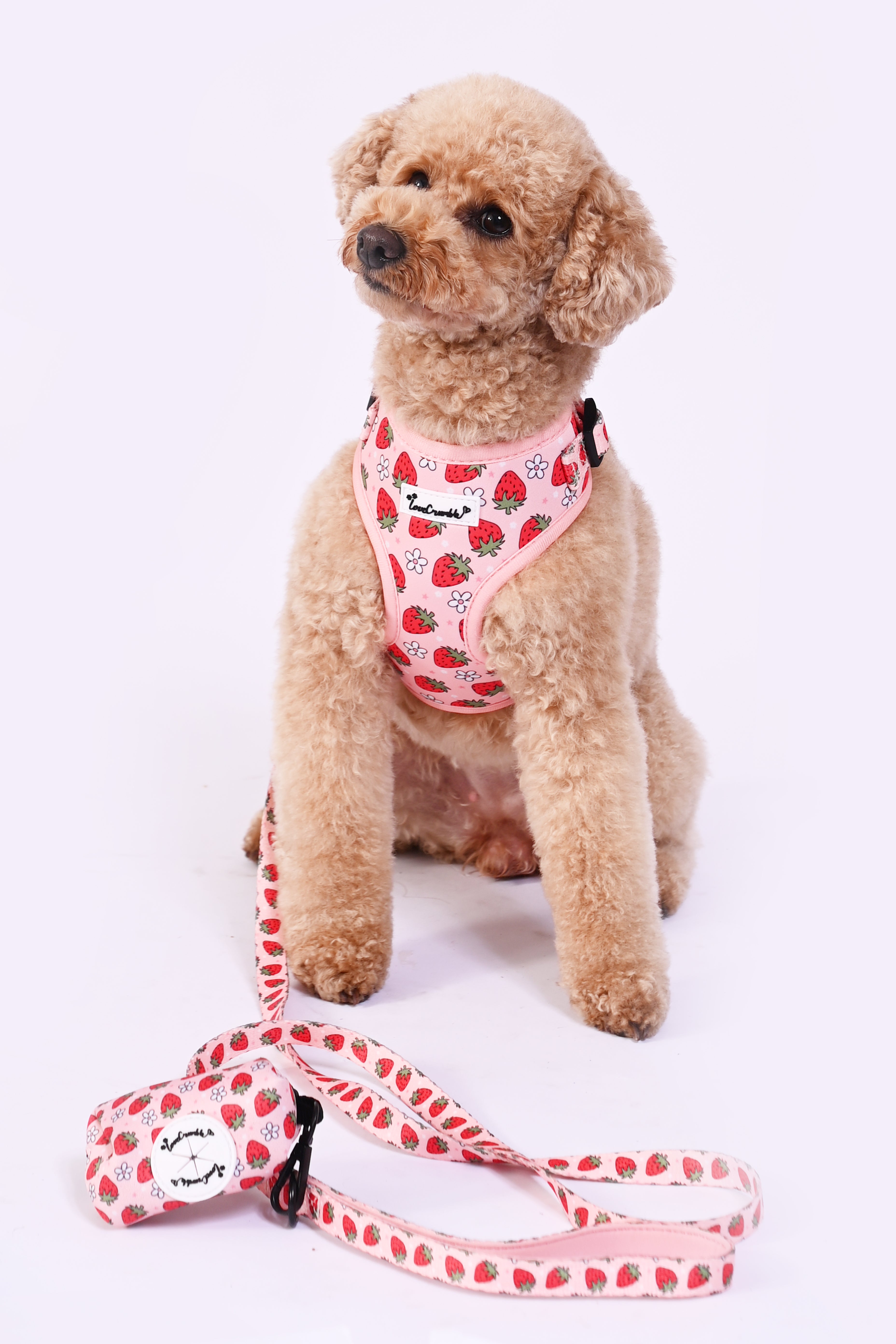Strawberry Fields Set - Dog Harness, Lead, Collar & Poo Bag Holder