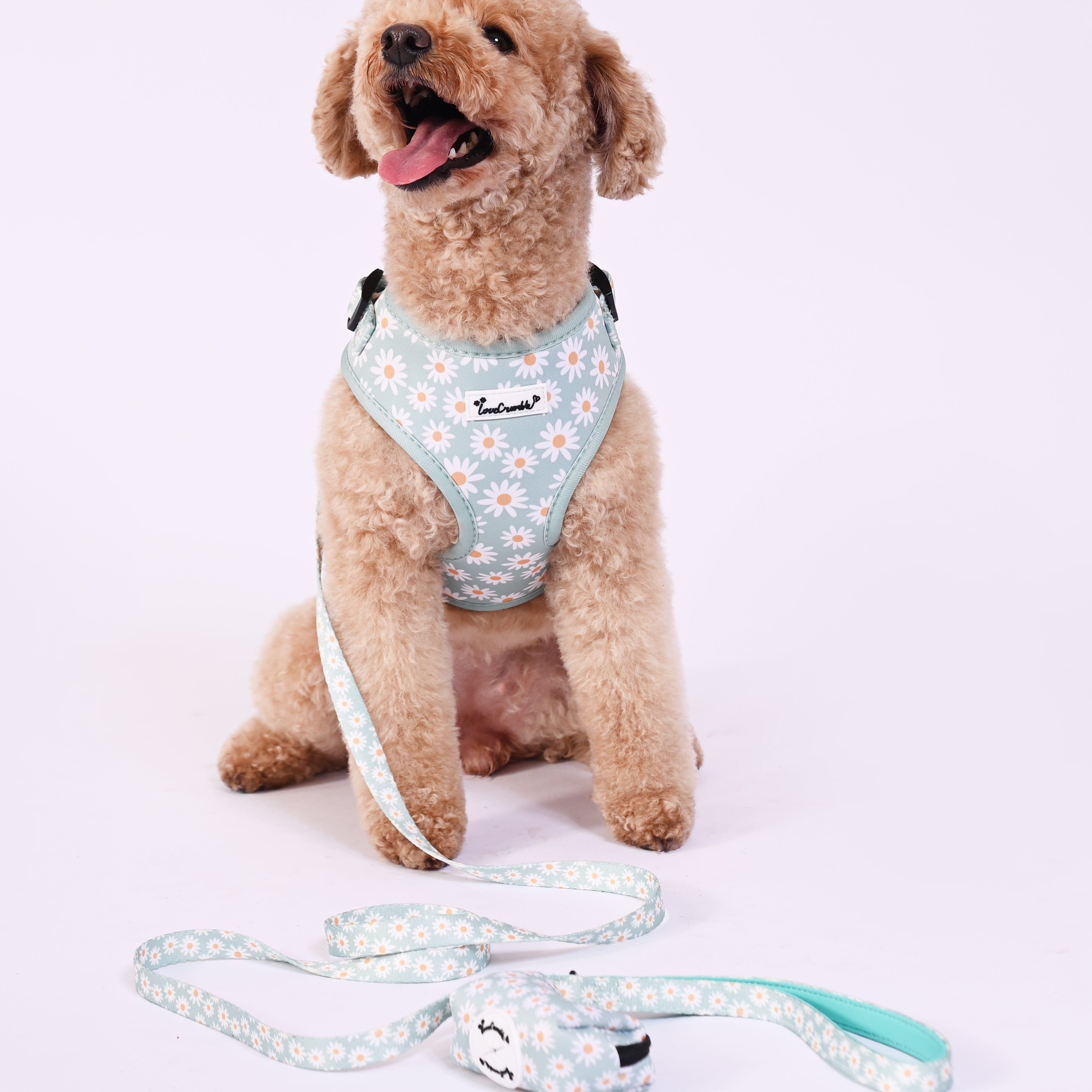 Daisy Meadow Set - Dog Harness, Lead, Collar & Poo Bag Holder