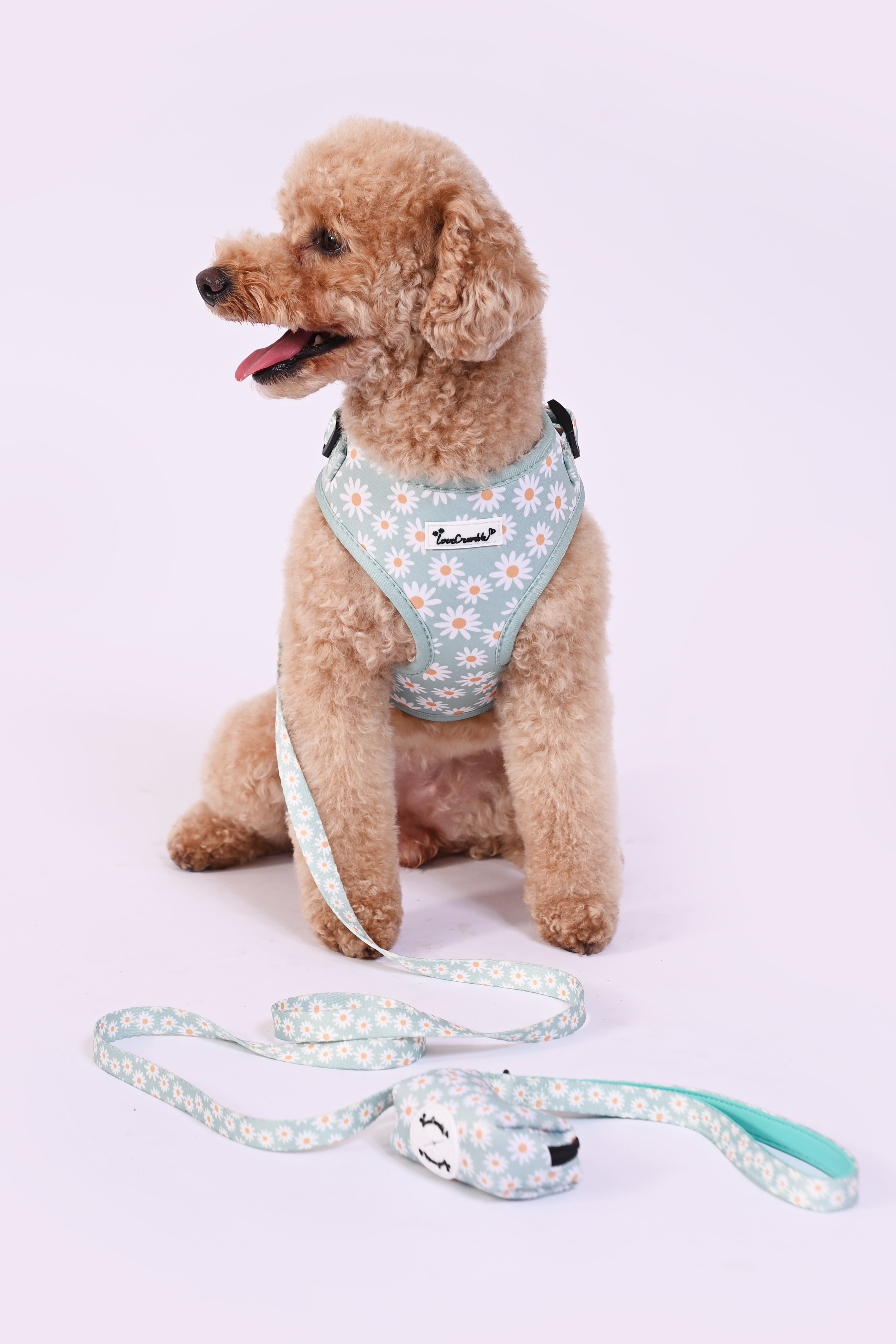 Daisy Meadow Dog Harness