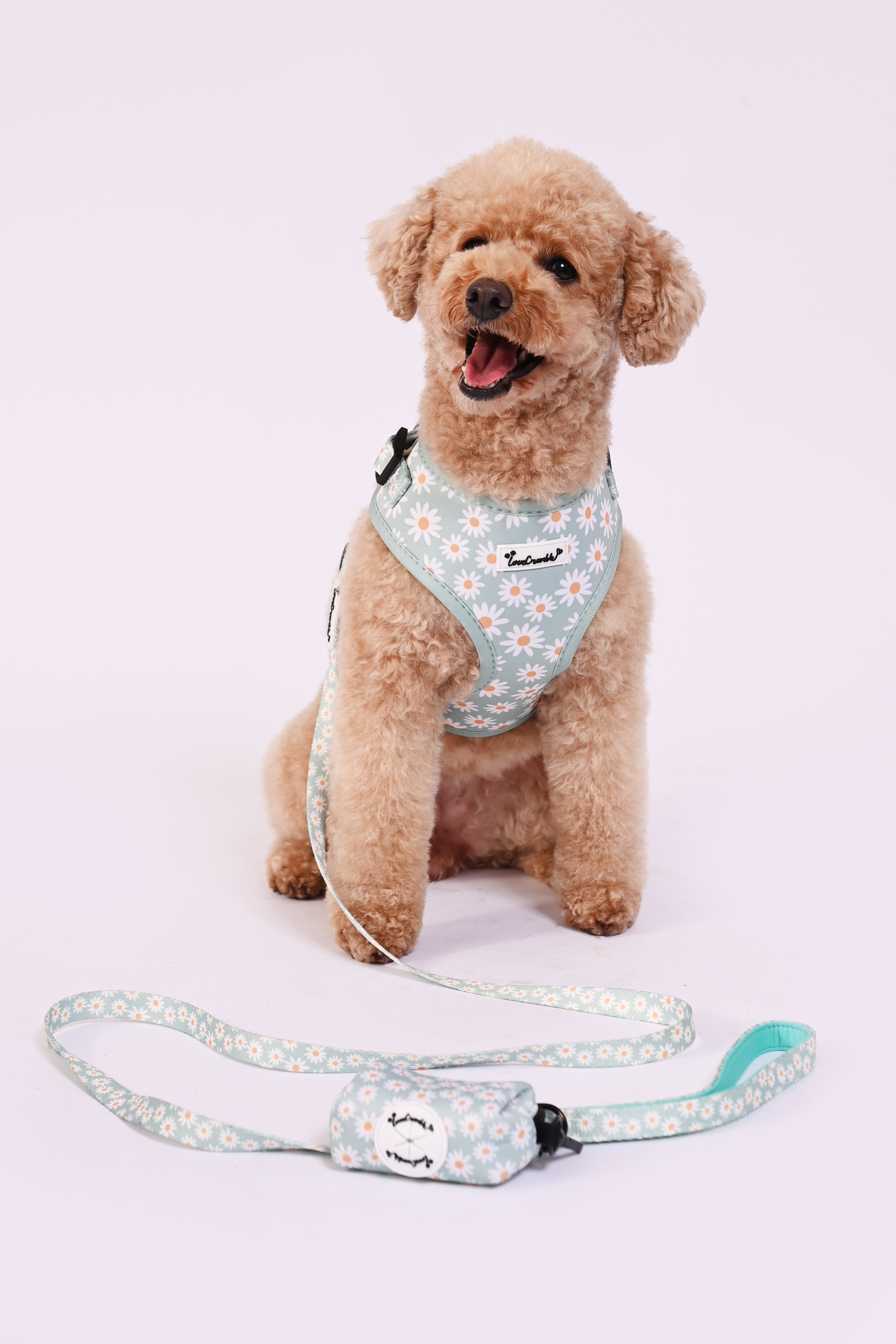Daisy Meadow Dog Harness