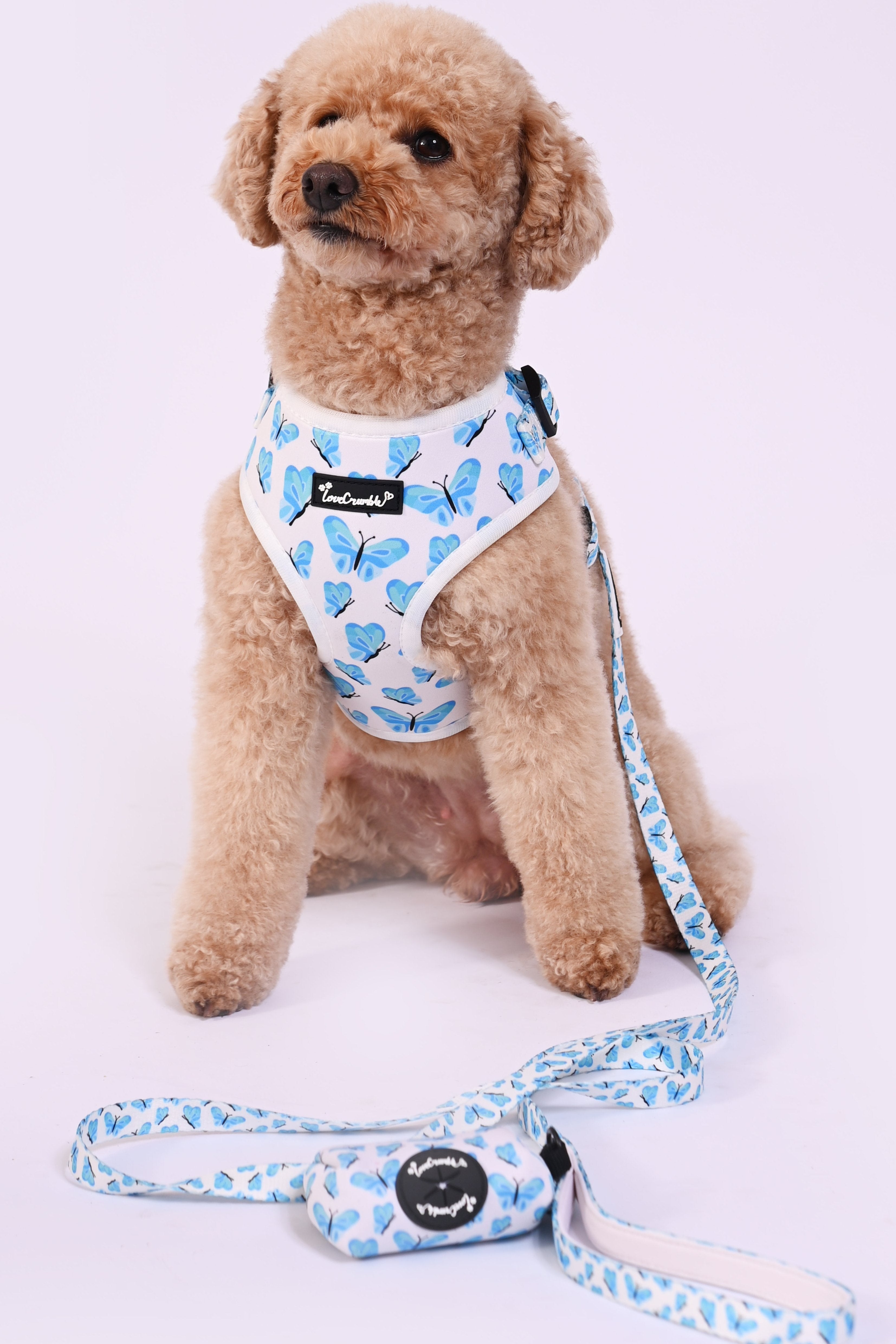 Blue Butterfly Dreams Dog Harness