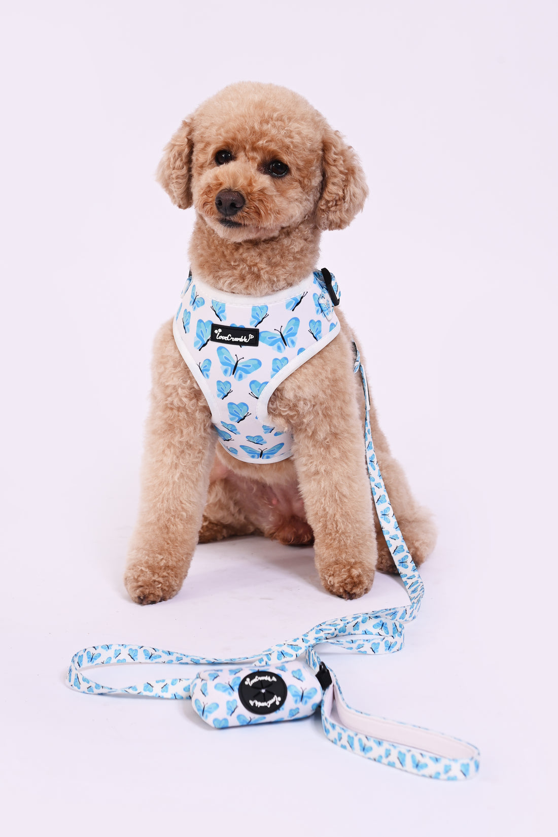 Blue Butterfly Dreams Set - Dog Harness, Lead, Collar & Poo Bag Holder