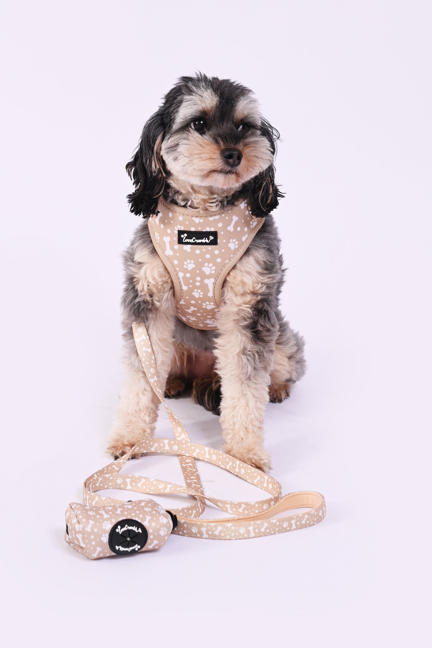 Paws & Bones Delight Set - Dog Harness, Lead, Collar & Poo Bag Holder