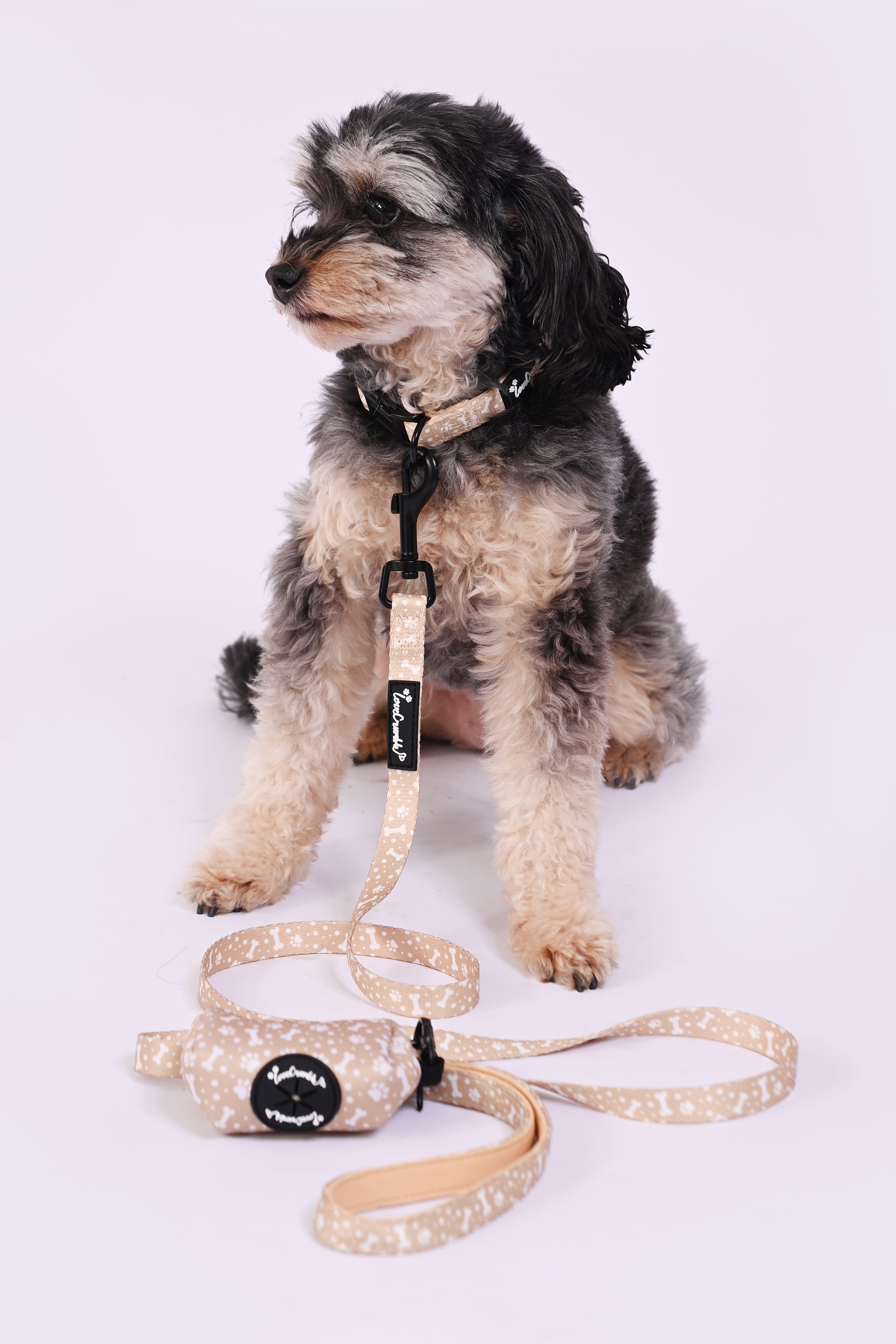 Paws & Bones Delight Set - Dog Harness, Lead, Collar & Poo Bag Holder