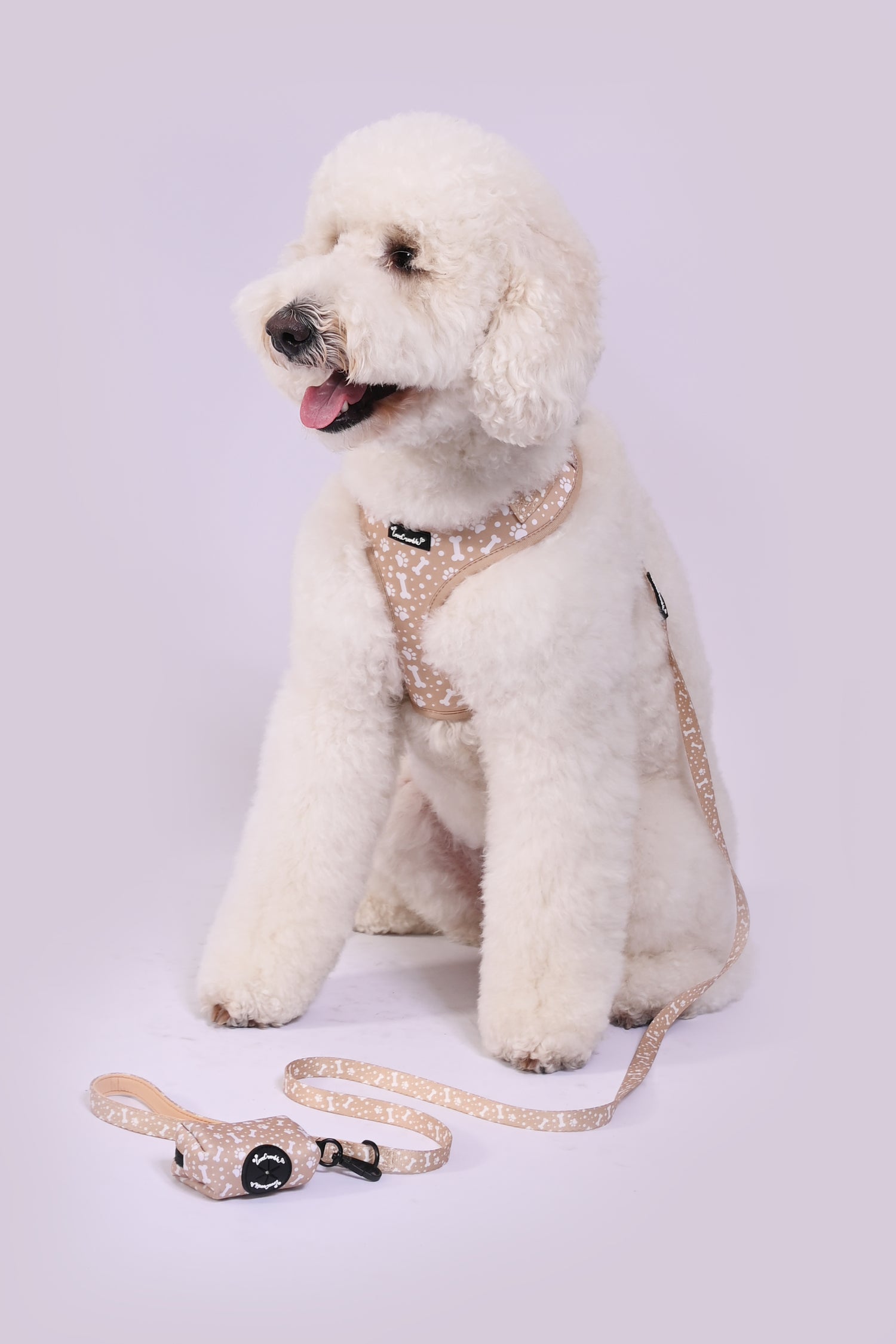 Paws & Bones Delight Set - Dog Harness, Lead, Collar & Poo Bag Holder
