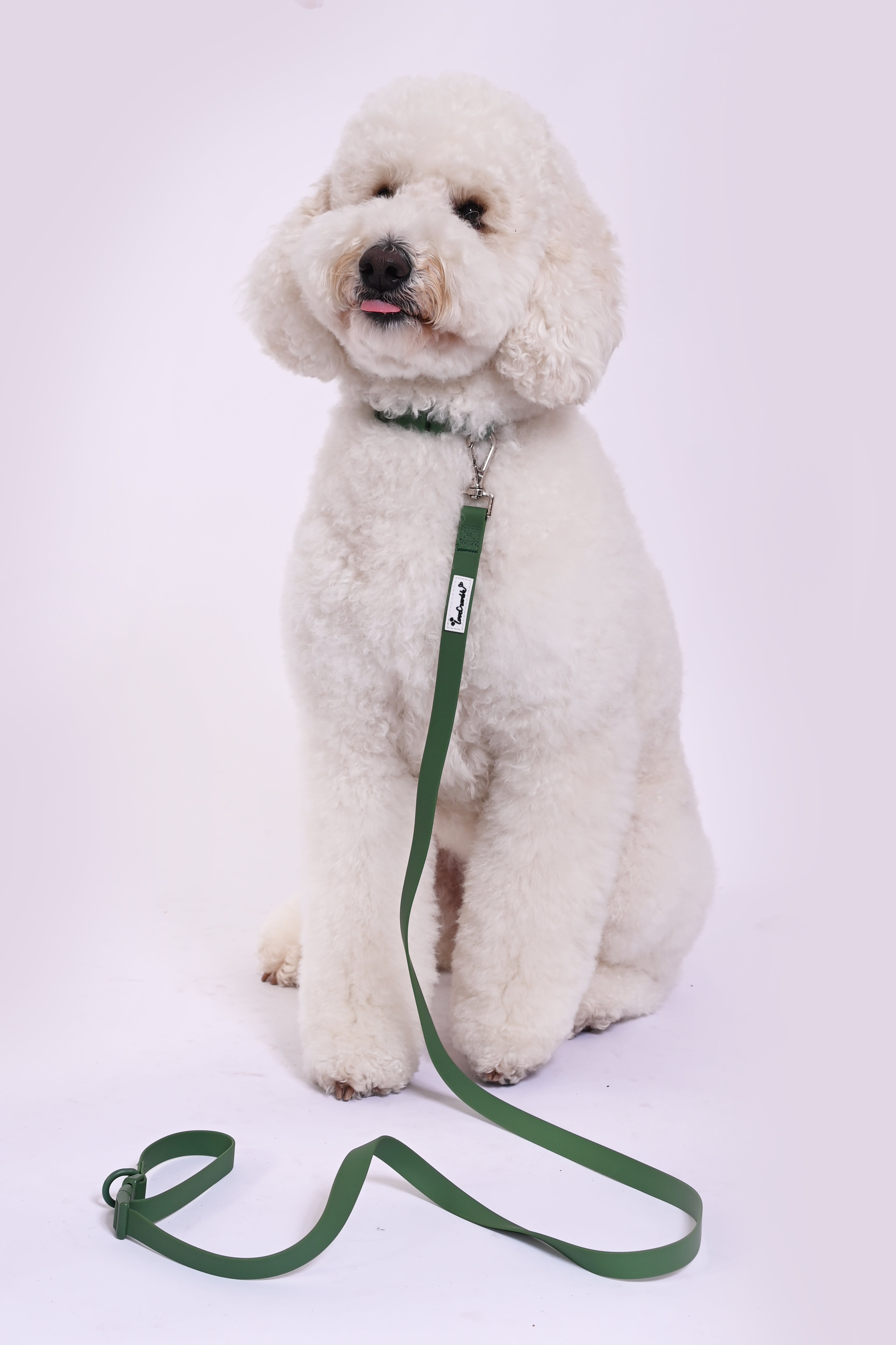 Biothane Wipe Clean Dog Lead & Collar - Earthy Green