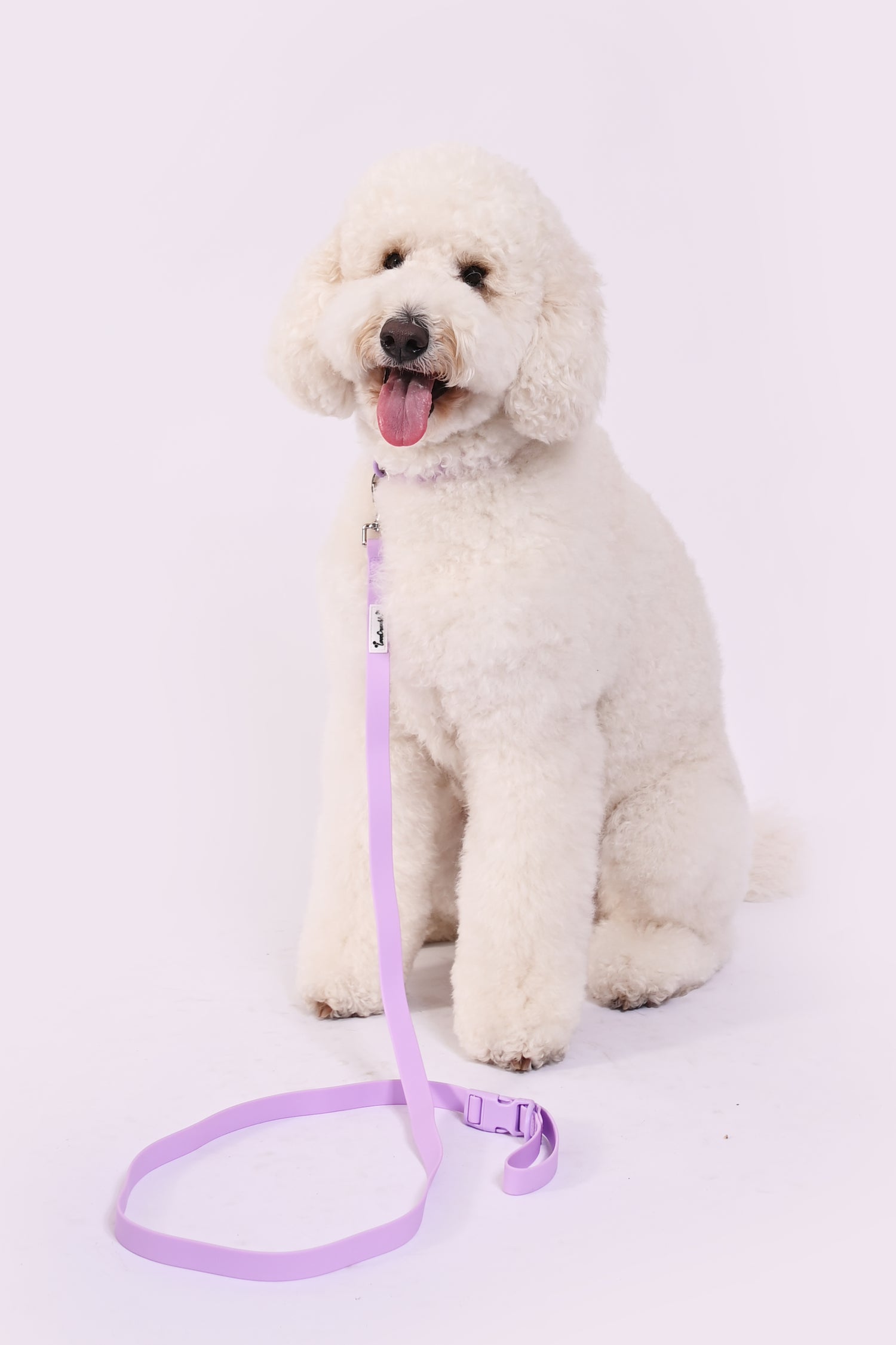 Biothane Wipe Clean Dog Lead & Collar - Lavender Purple