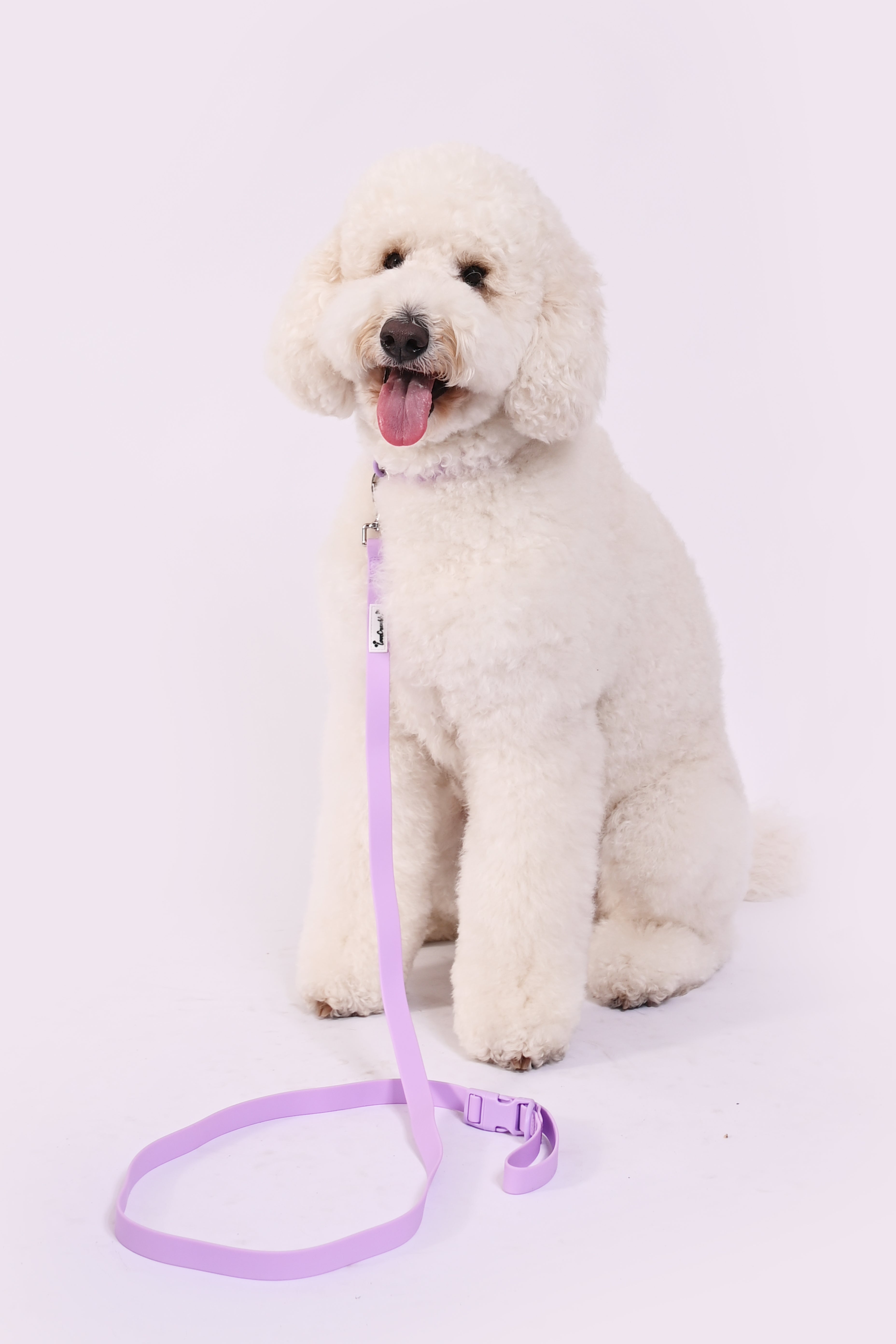 Biothane Wipe Clean Dog Lead & Collar - Lavender Purple