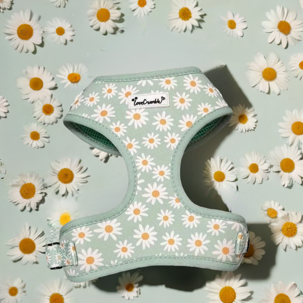 Daisy Meadow Dog Harness