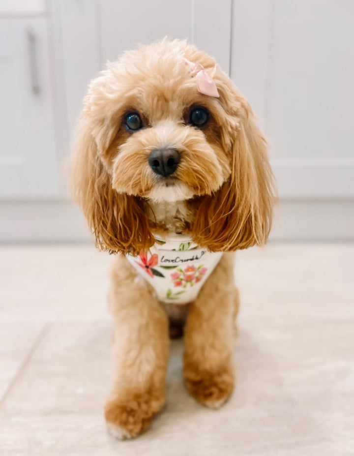 LoveCrumble Floral Sets - Dog Harness, Collar & Lead