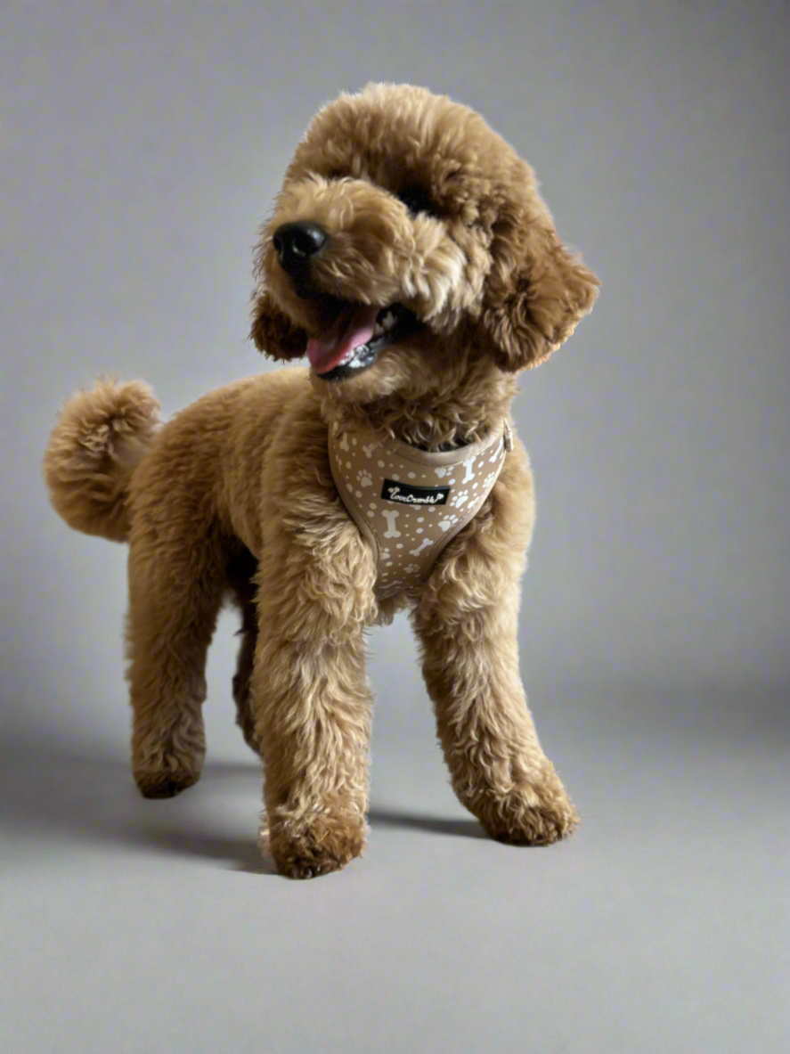 Paws & Bones Delight Dog Harness