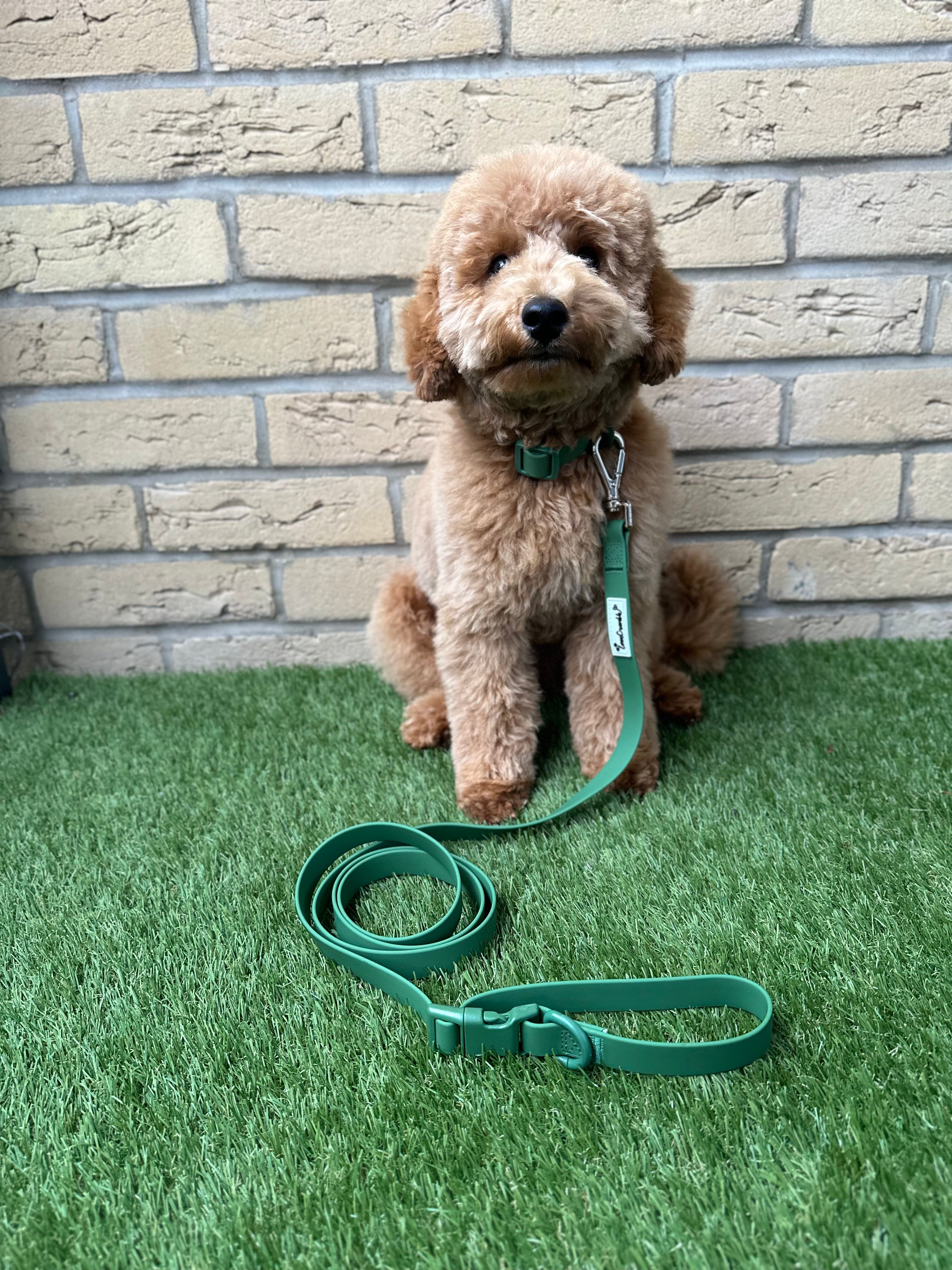 Biothane Wipe Clean Dog Lead & Collar - Earthy Green