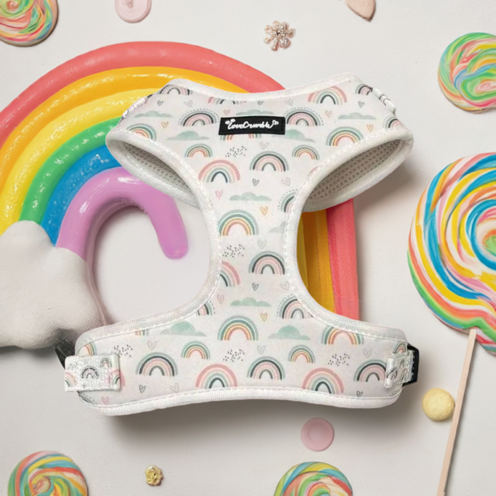 Hearts & Rainbows Charm Dog Harness