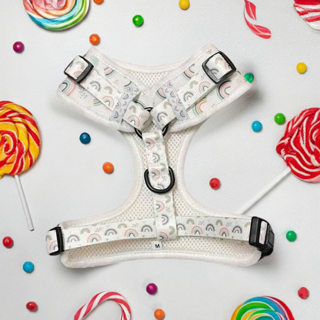 Hearts & Rainbows Charm Dog Harness