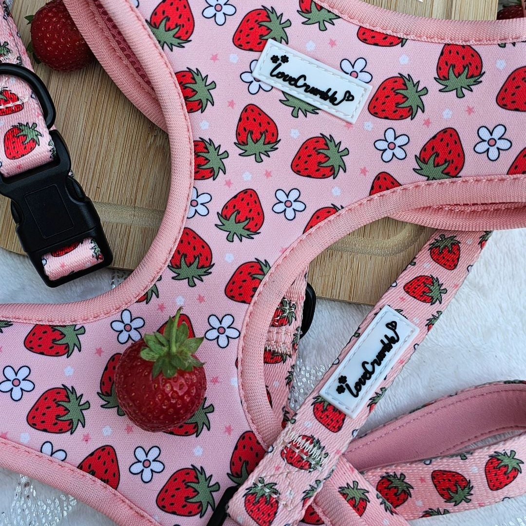 Strawberry Fields Set - Dog Harness, Lead, Collar & Poo Bag Holder