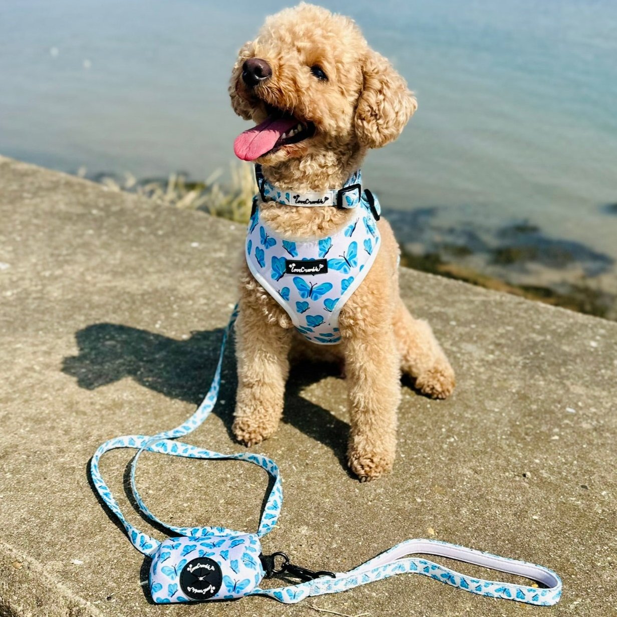 Blue Butterfly Dreams Dog Harness