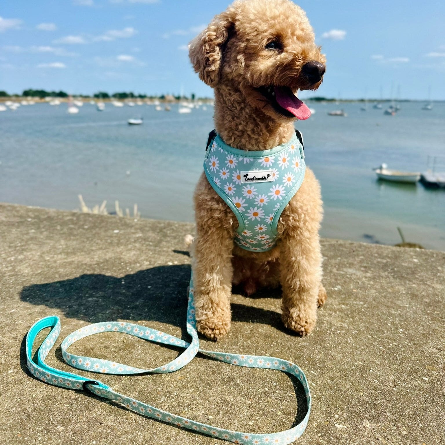Daisy Meadow Dog Harness
