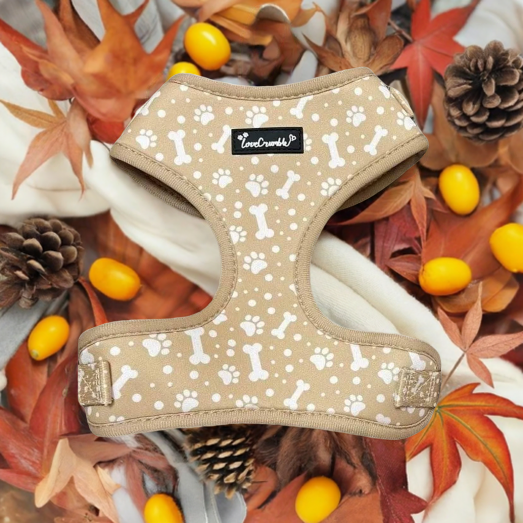 Paws & Bones Delight Set - Dog Harness, Lead, Collar & Poo Bag Holder