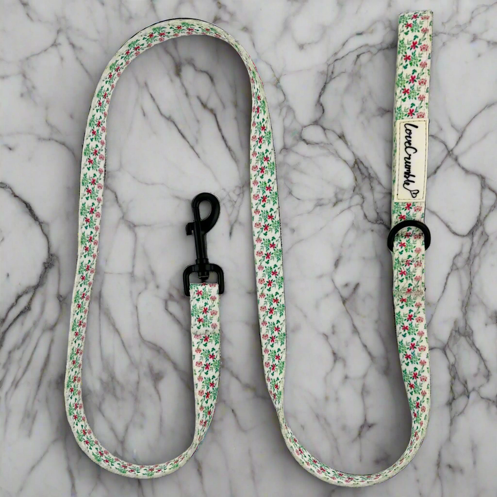 Spring Meadow Dog Collar & Lead Set