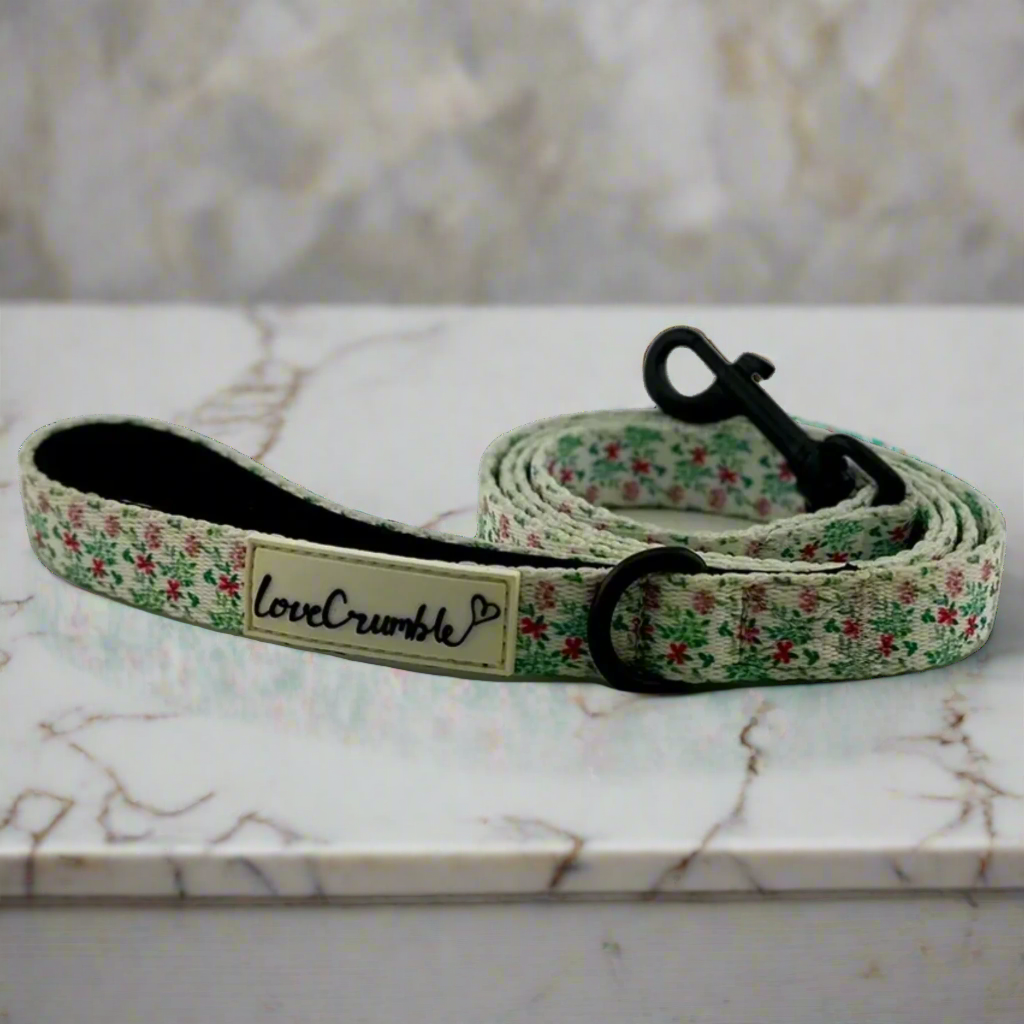 Spring Meadow Dog Collar & Lead Set