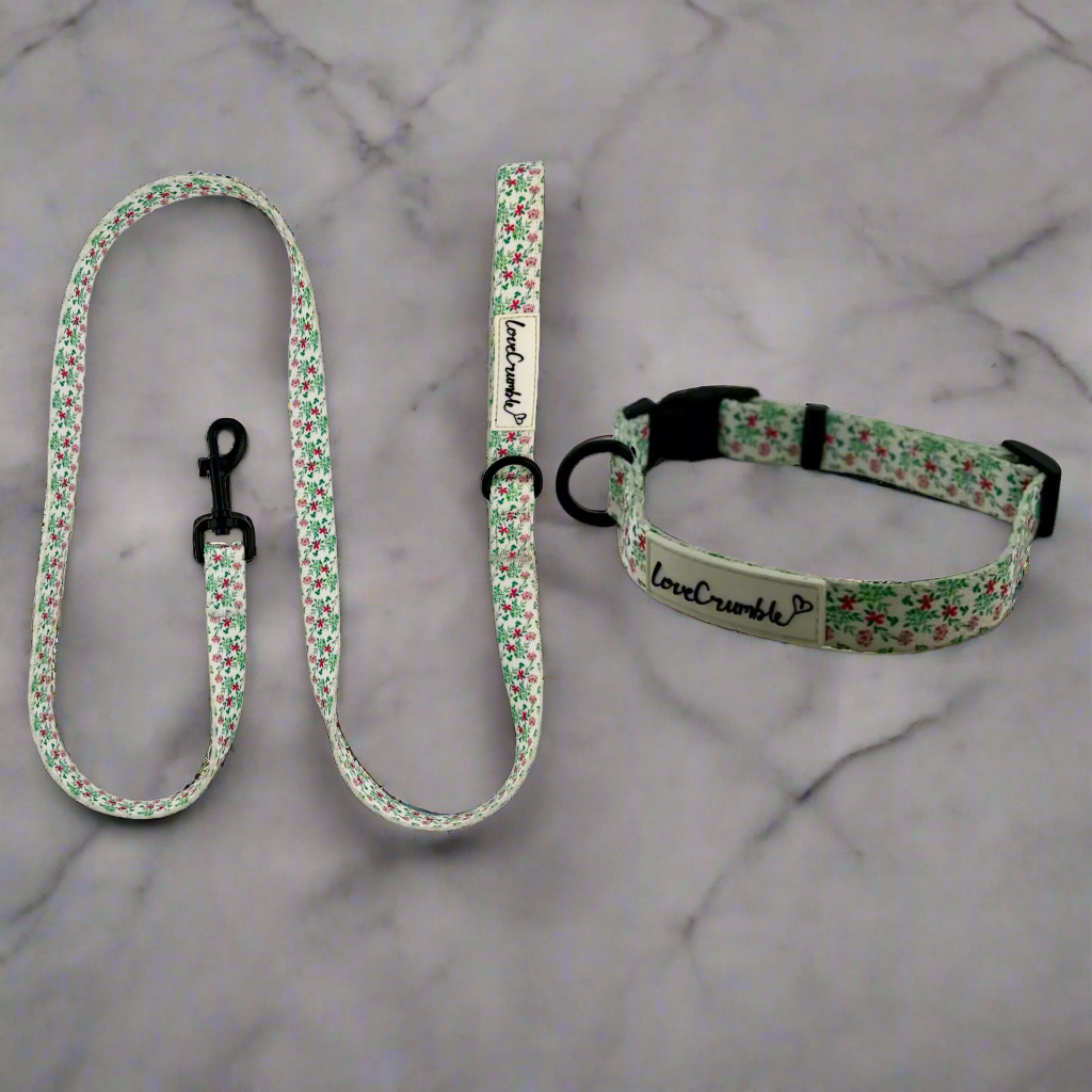 Spring Meadow Dog Collar & Lead Set