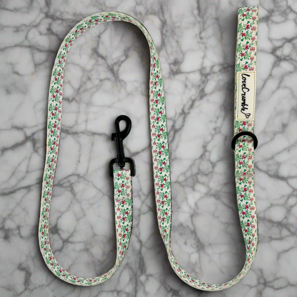 Spring Meadow Set - Dog Harness, Collar & Lead