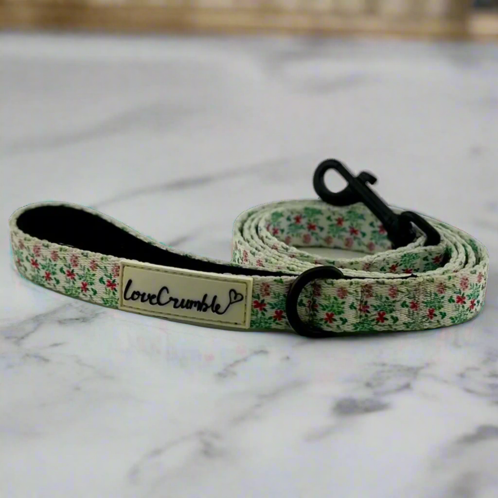 Spring Meadow Set - Dog Harness, Collar & Lead