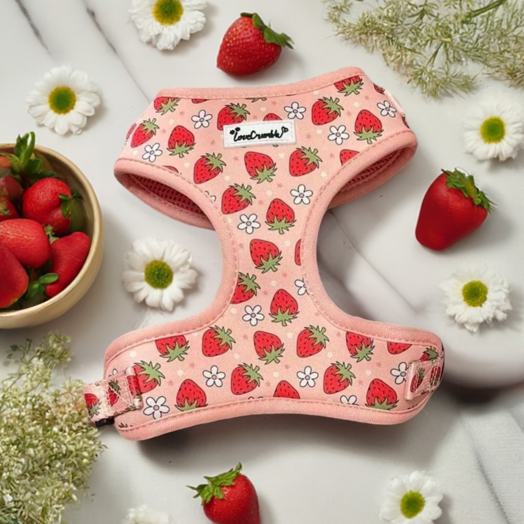 Strawberry Fields Set - Dog Harness, Lead, Collar & Poo Bag Holder