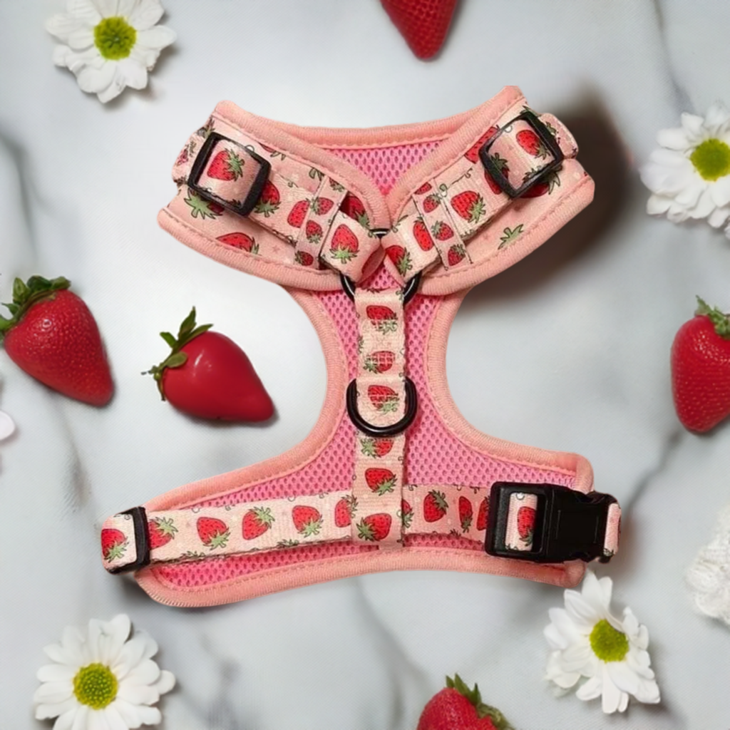 Strawberry Fields Set - Dog Harness, Lead, Collar & Poo Bag Holder