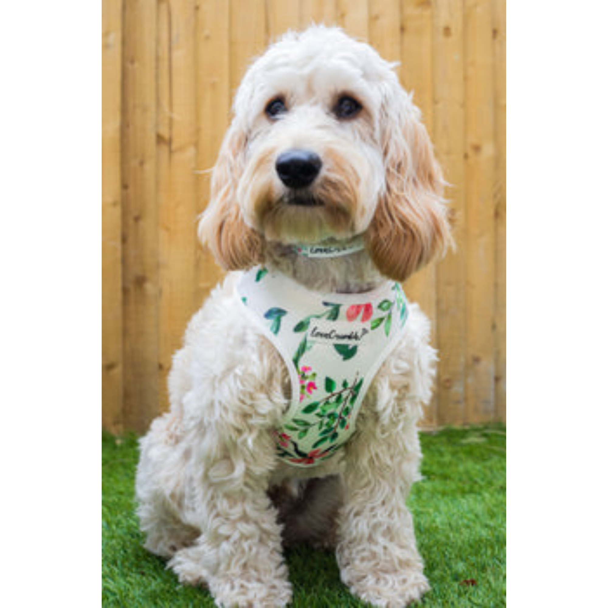 LoveCrumble Floral Sets - Dog Harness, Collar & Lead