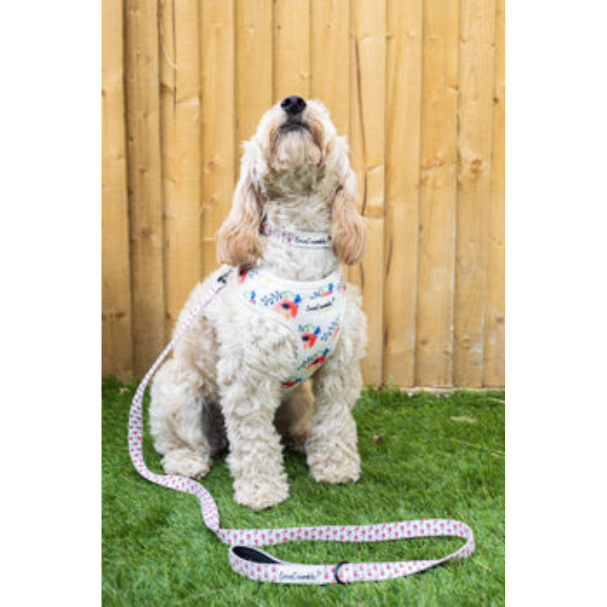 Chelsea Flowers Dog Collar & Lead Set