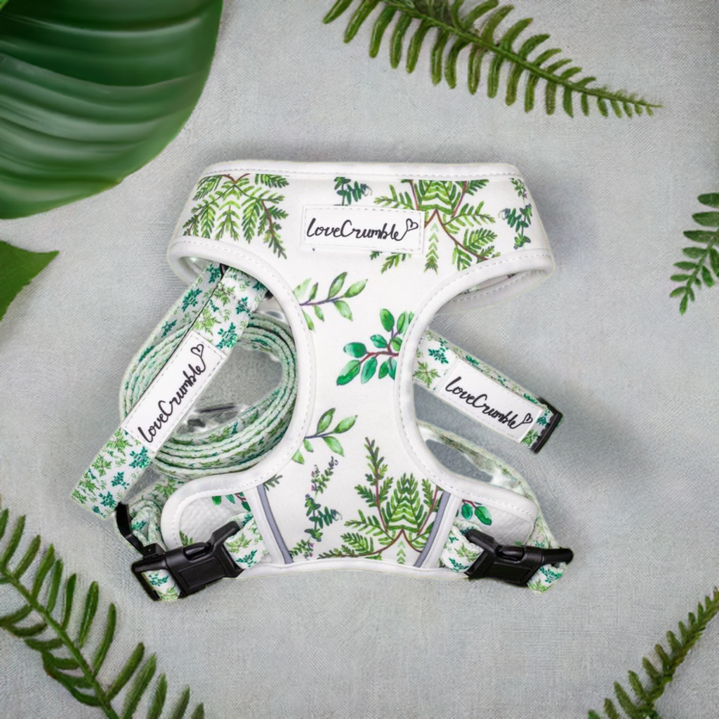 Botanical Garden Set - Dog Harness, Collar & Lead