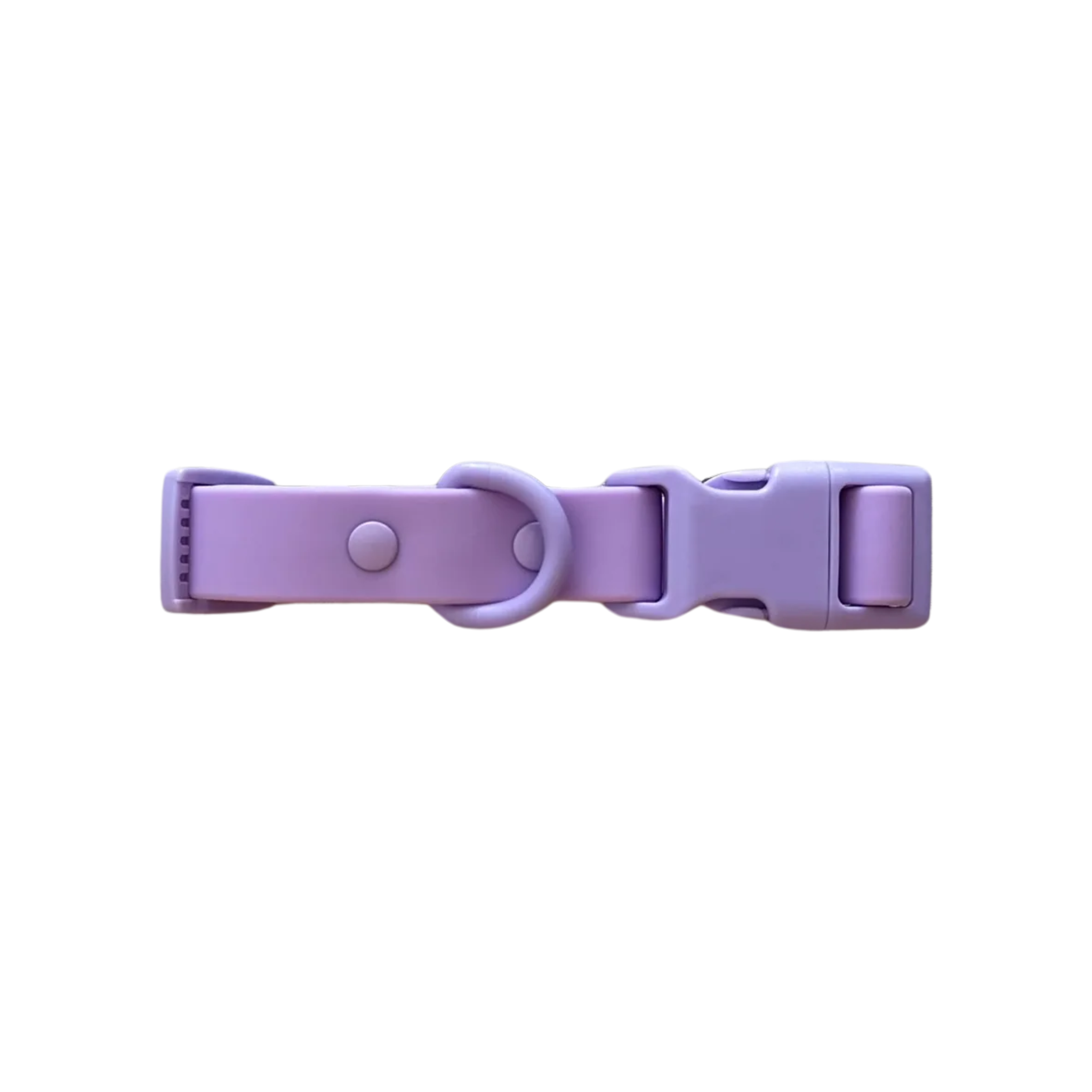 Biothane Wipe Clean Dog Lead & Collar - Lavender Purple