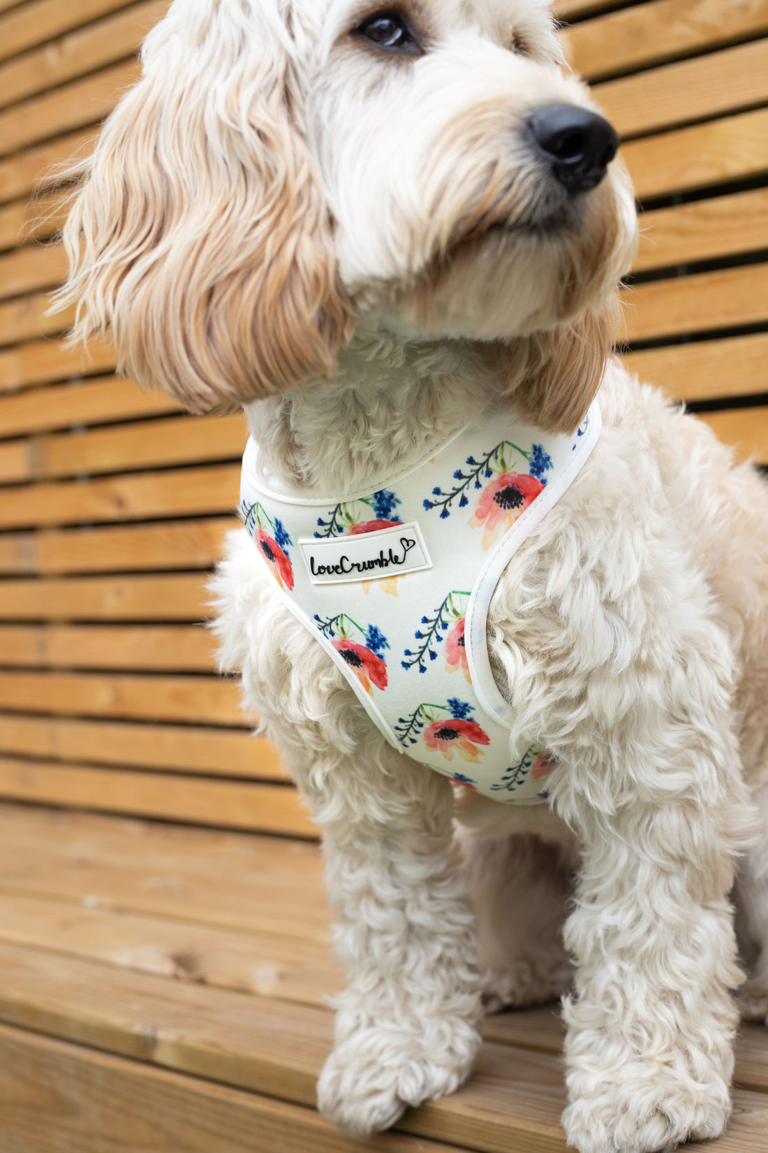 Chelsea Flowers Dog Harness
